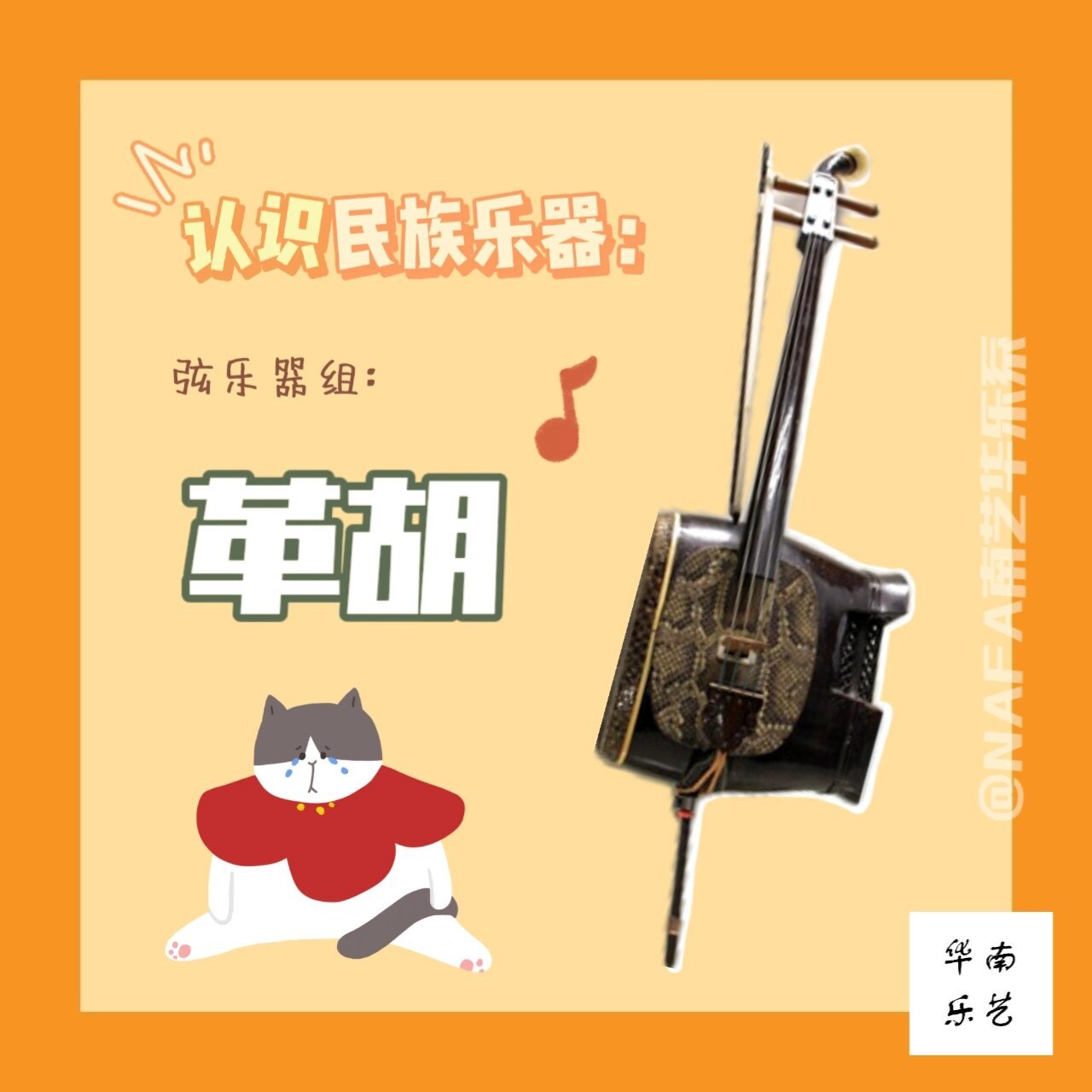 科普向99 | 每天认识一件华乐团乐器 95 革胡,是中国民族的低音拉