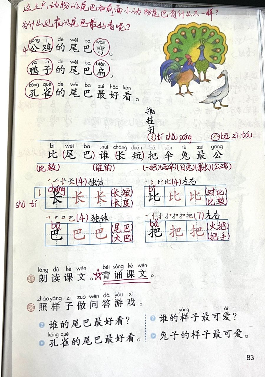 一年级上册课文6《比尾巴》仿写及手写笔记 从一年级开始教学生的仿写