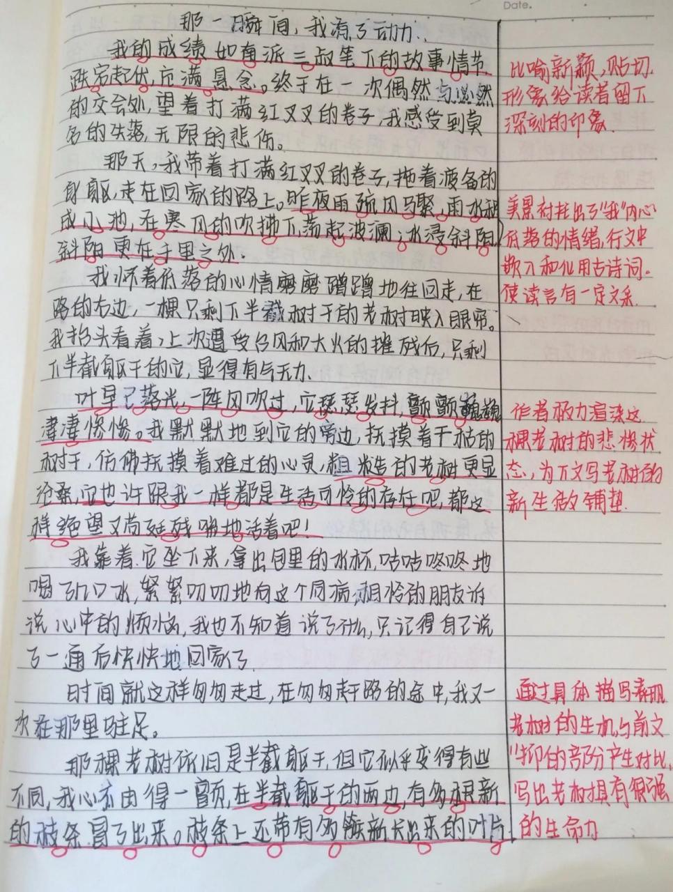 作文摘抄批注 总结原创 .