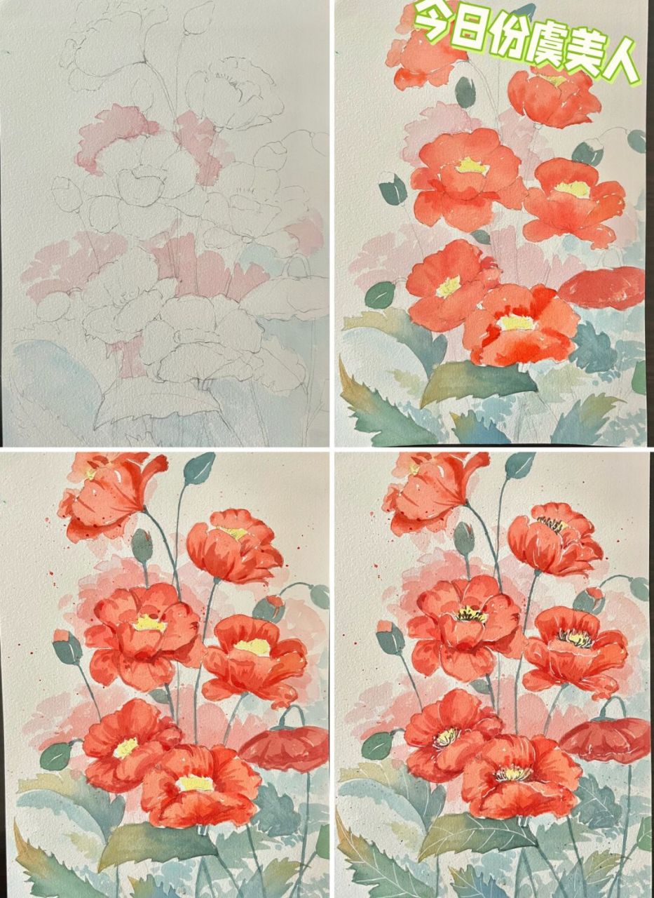 虞美人)   "日复一日的生活也会有新的快乐" 	 (有没有关于虞美人的