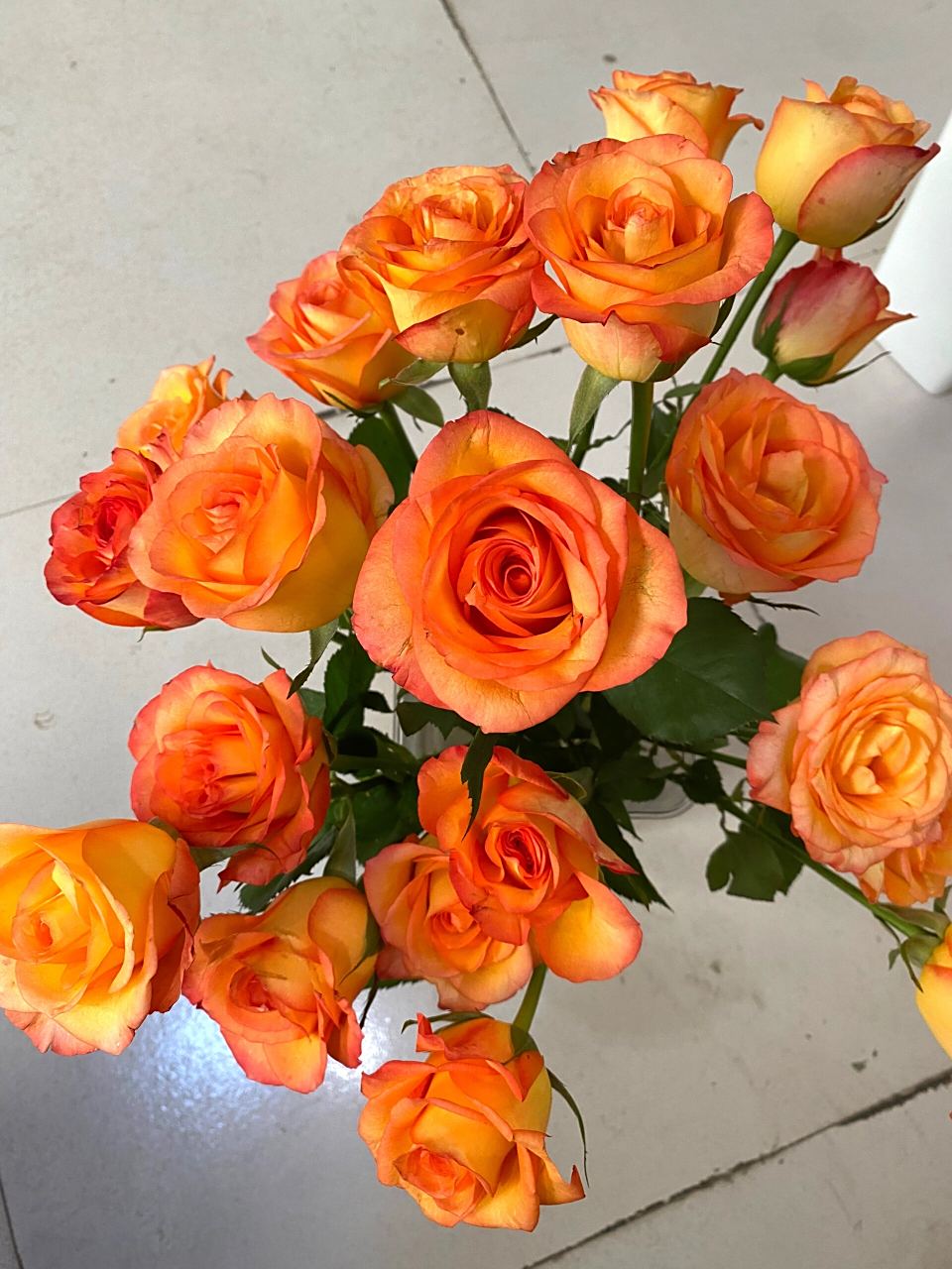 98寓意:希望你一直保持俏皮,快乐的心态! 77金辉,一