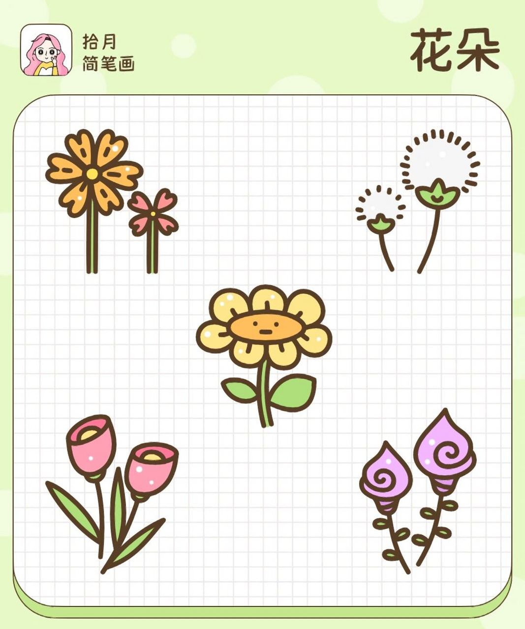 春天的花朵画法图片