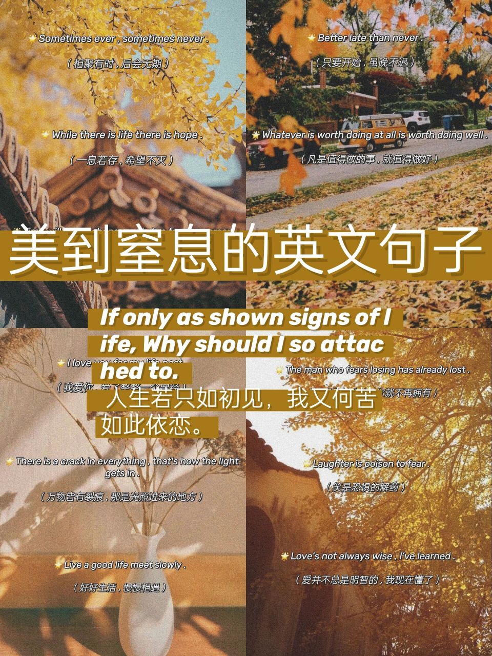 美到窒息的英文句子||直接封神97 大家好,我是如初.