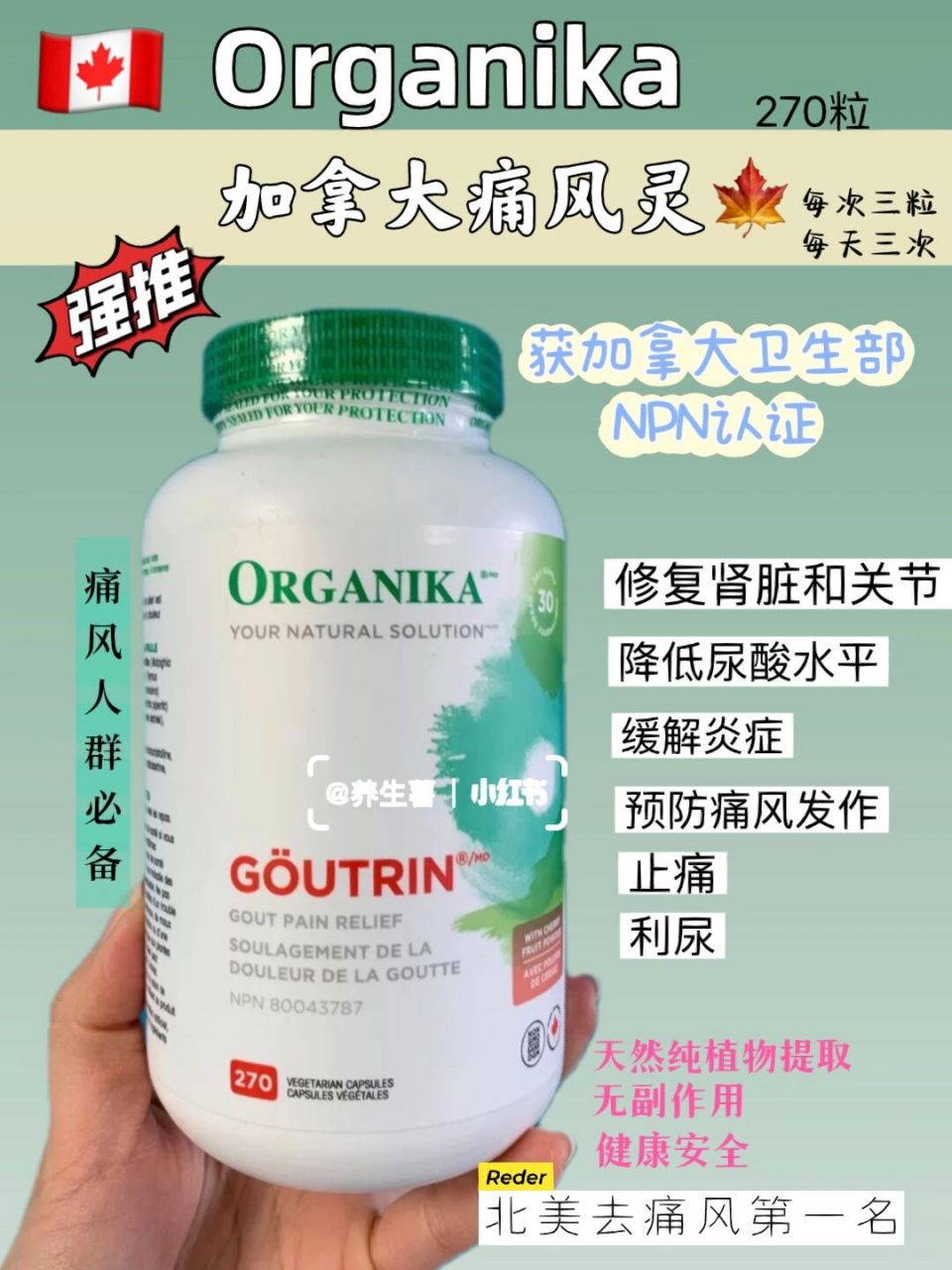 加拿大痛风灵|告别痛风,降低酸值,消肿止痛 这款加拿大9896