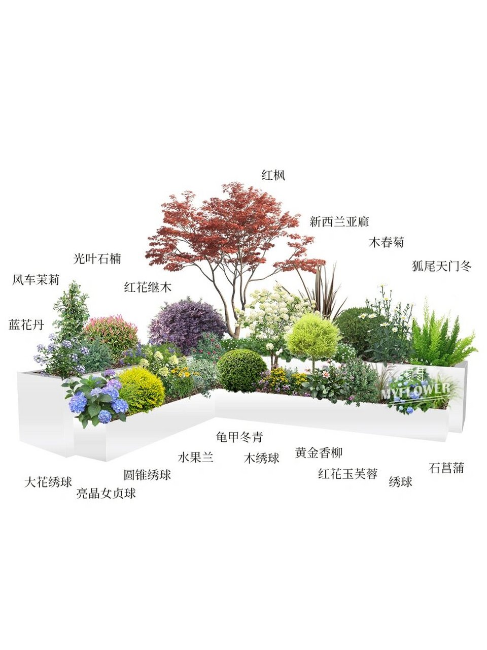 花园植物种植层次设计图片