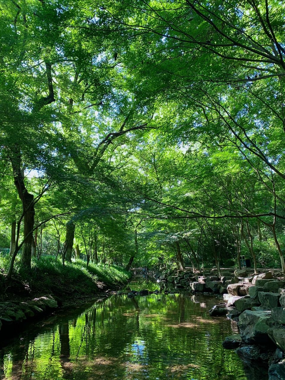 杭州徒步 | 九溪—十里琅珰—五云山—云栖竹径 99路线:从九溪公交