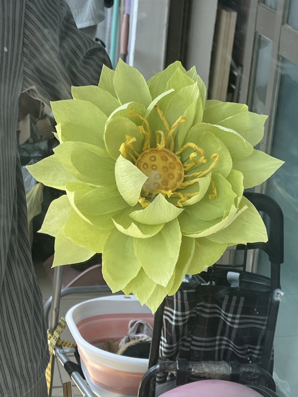 皱纹纸绿荷花03