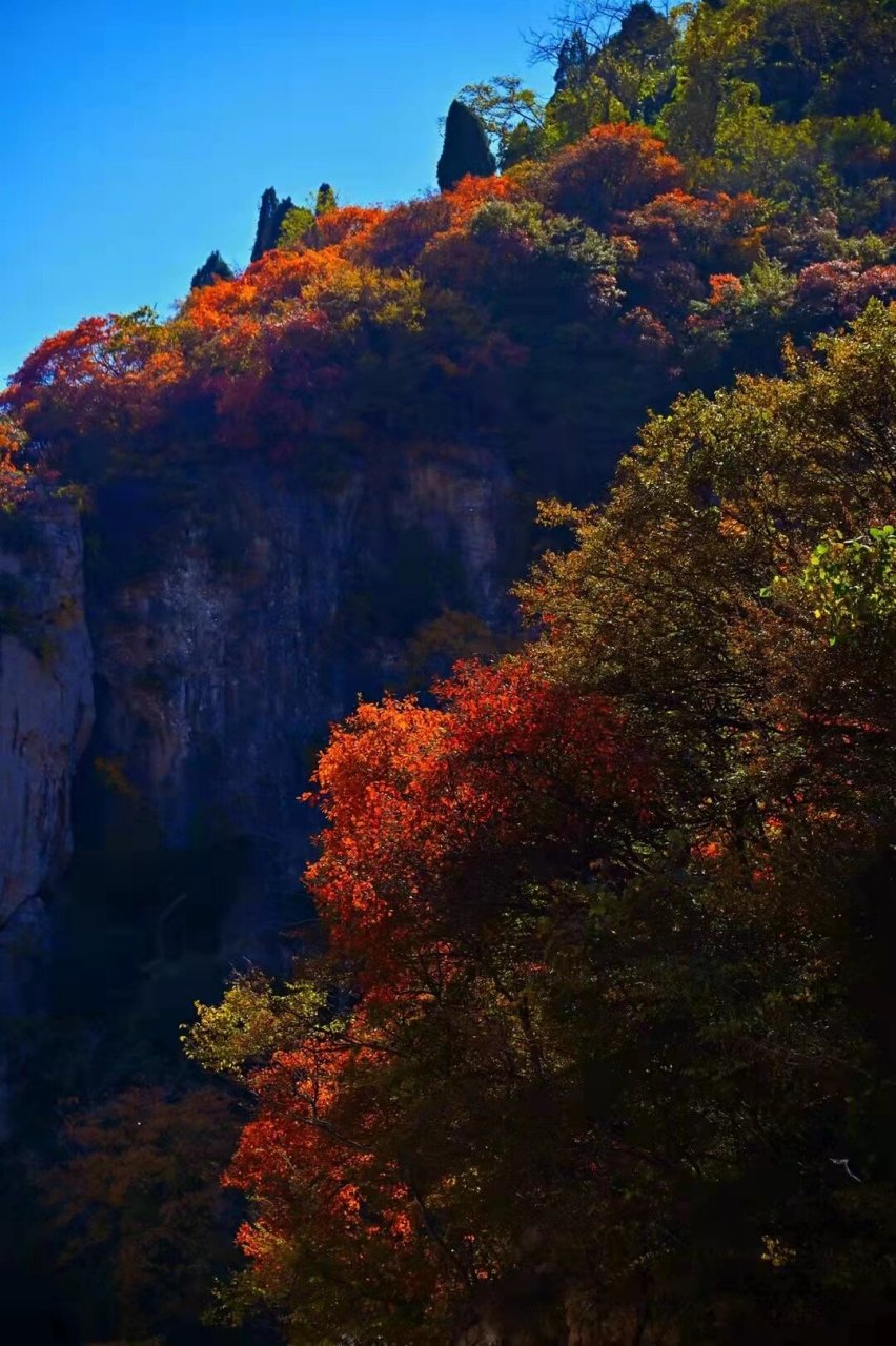 淄博最适合徒步的景区红叶柿岩 现在是最佳观赏时间,漂流也很快乐