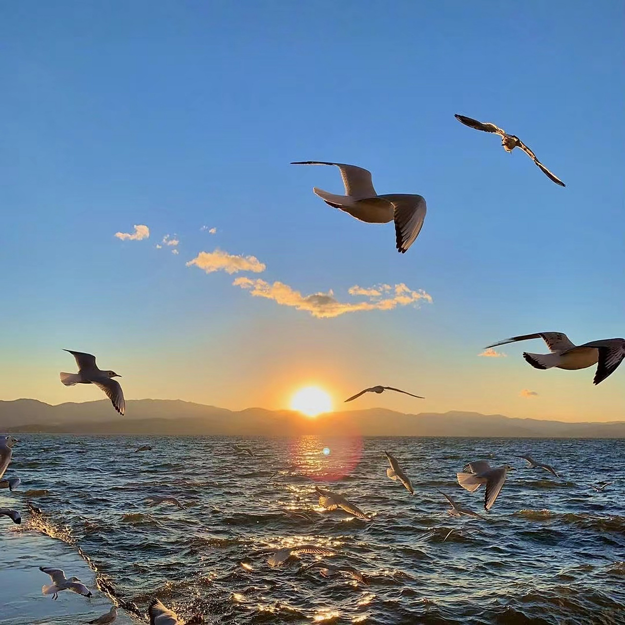 日出图片风景微信头像用什么好 日出代表着朝气蓬勃的一天的开始!