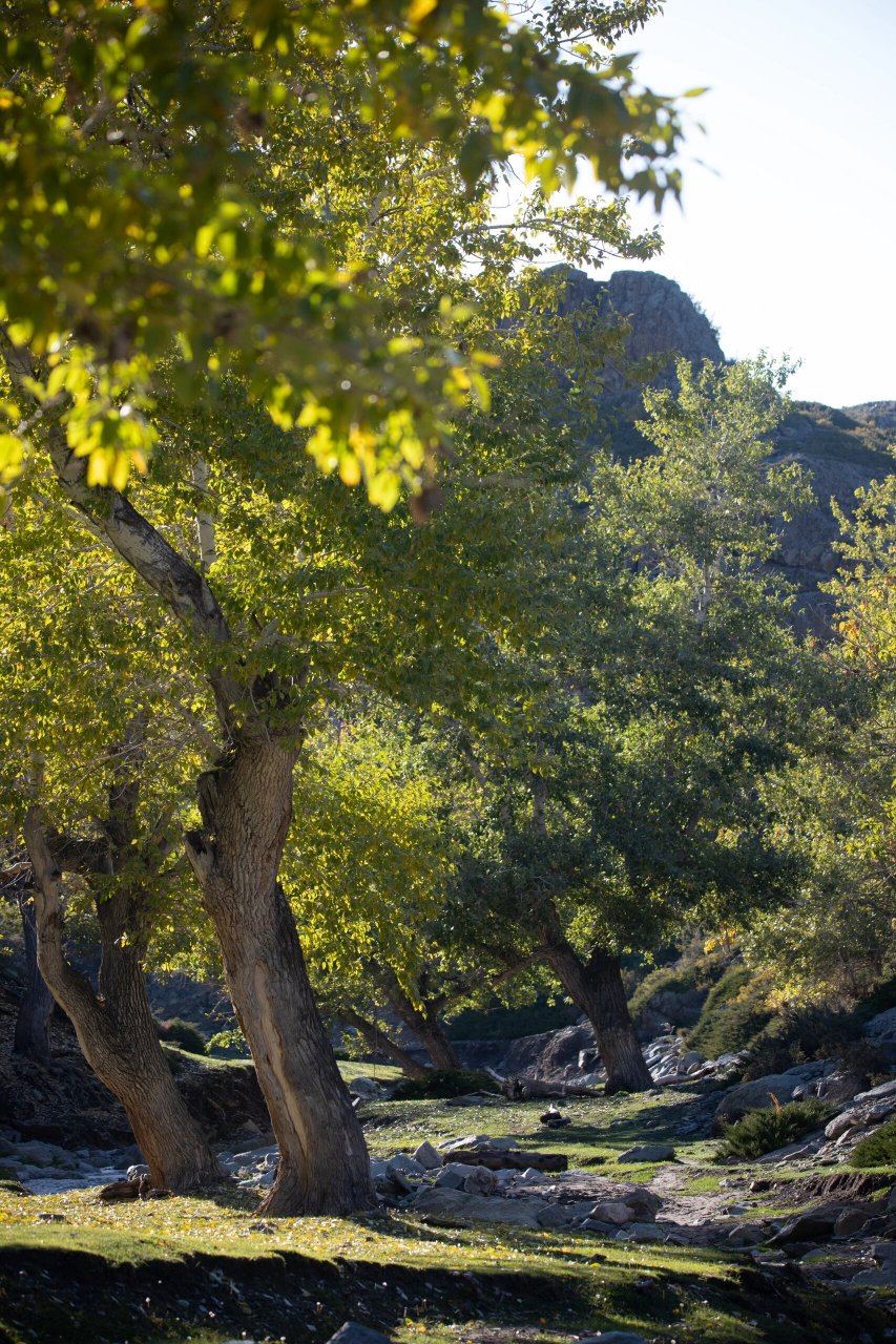 阿勒泰99不能错过的自然美景7215 再见,温暖又美丽的萨尔布拉克