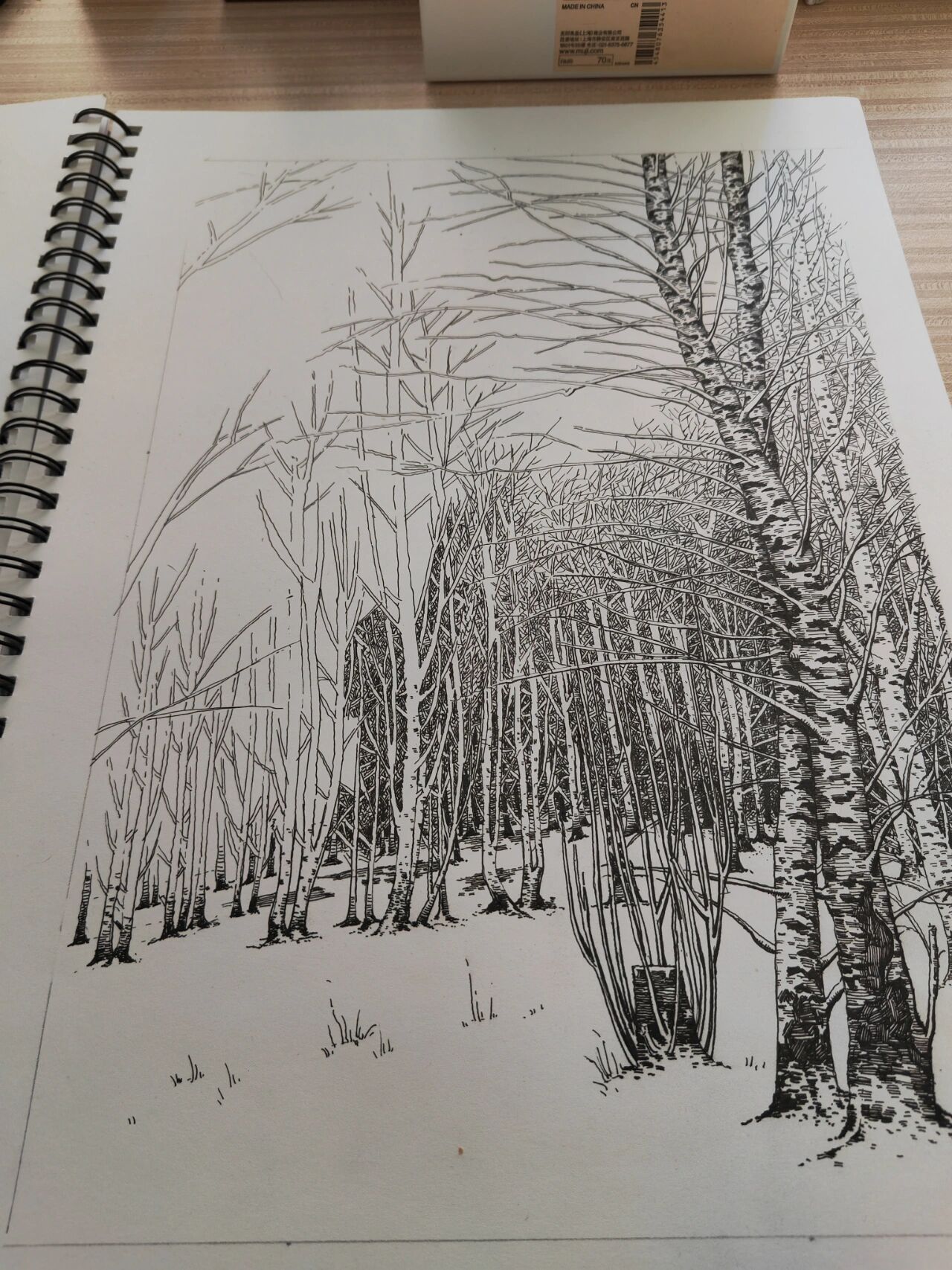 【钢笔画】树林 冬天的小树林.