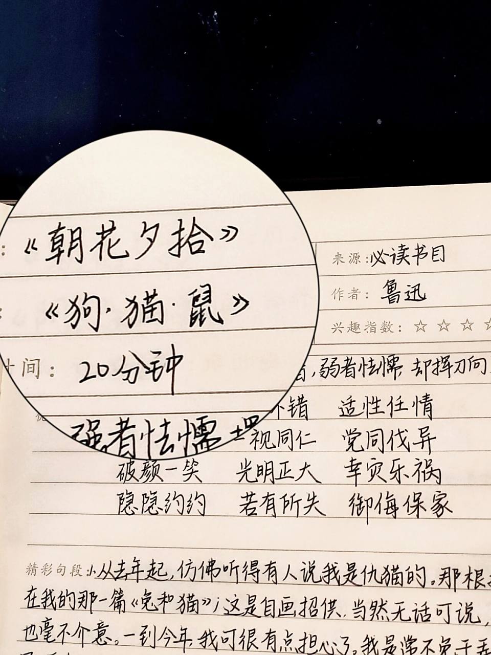 读书笔记 | 《朝花夕拾》75(狗猫鼠) 很多人想看 于是我就来更咯