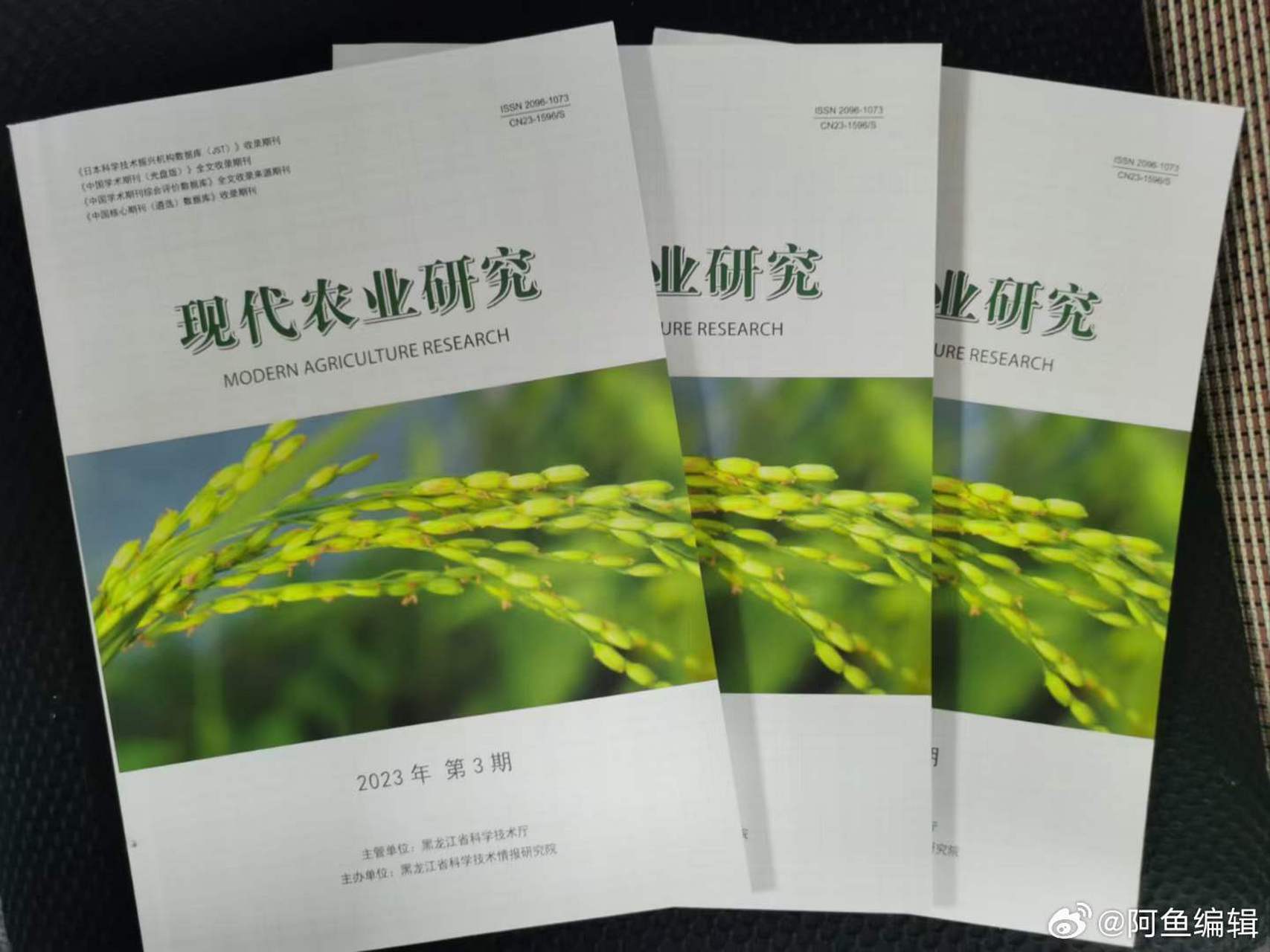 《现代农业研究》省级知网/第一批学术期刊/有影响因子,23.