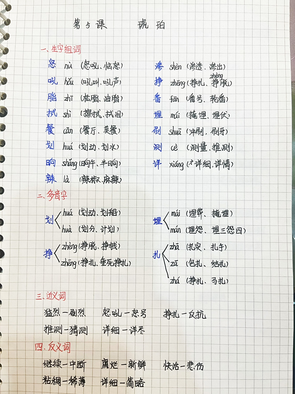 四下925课《琥珀》笔记-2 99996990每日1-4更,全部是小学