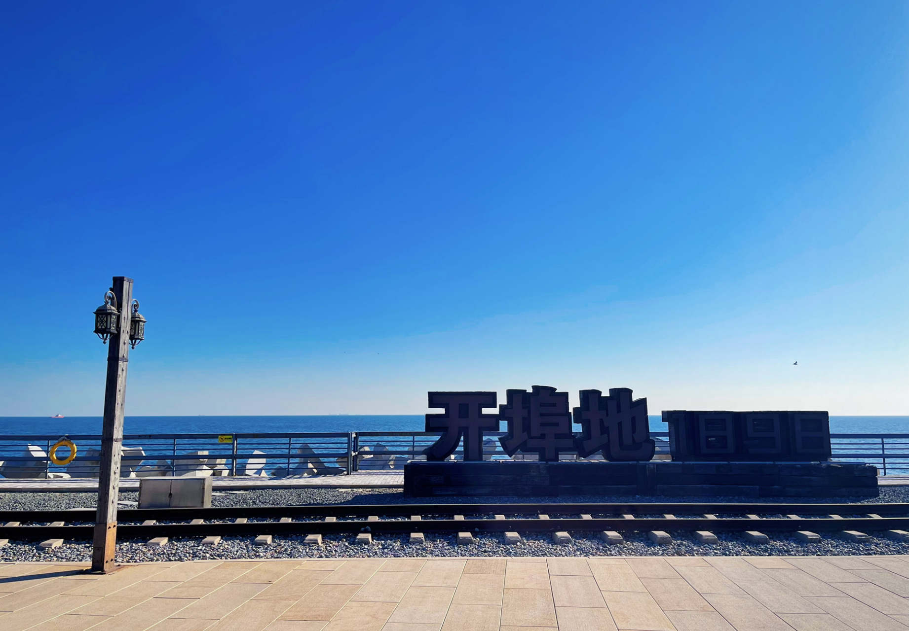 秦皇岛西港花园 | 本地人的宝藏花园9015 2023年的第一天7715