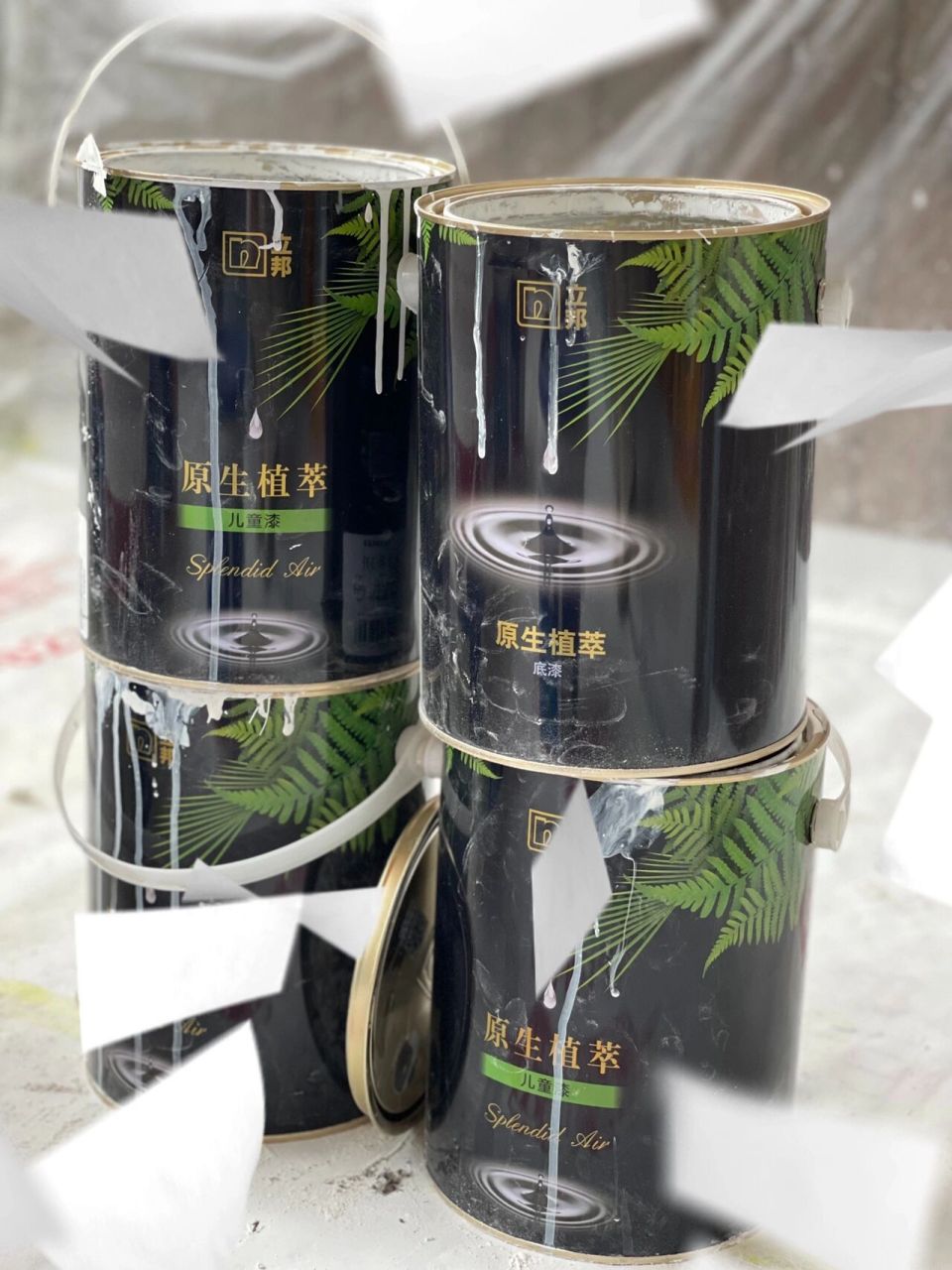 立邦植萃系列算立邦最环保的吧 	 确实是一点点味道都没有 德国莱茵