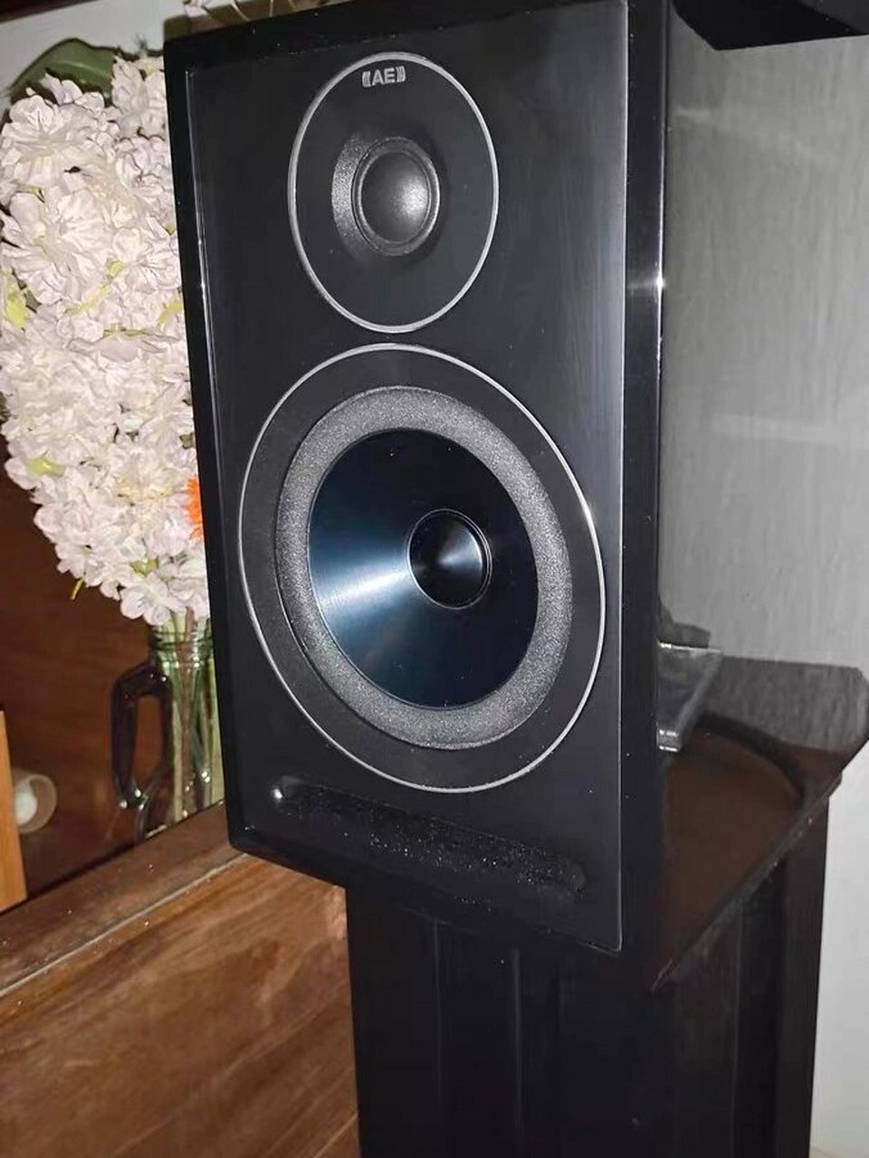 3000元的靓声书架箱推荐 3000元级别的hifi音箱推荐?