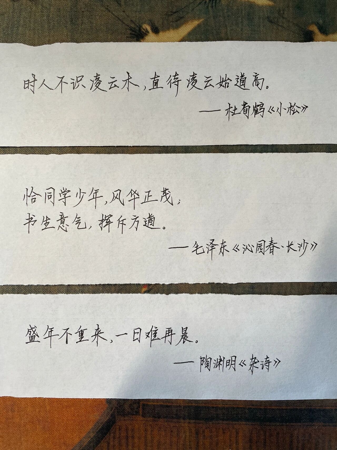 97愿你出走半生,归来仍是少年