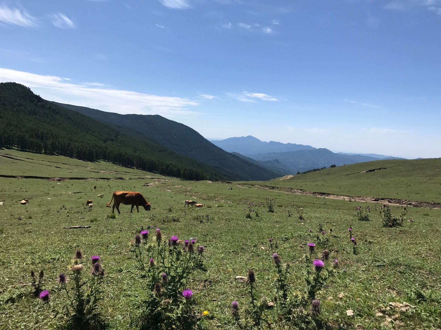 娄烦云顶山风景区门票图片