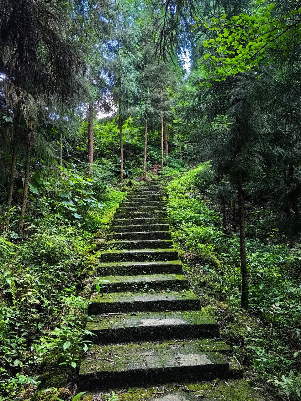 被国家地理安利的四川最美村落 成都出发3小时 眉山市洪雅县复兴村