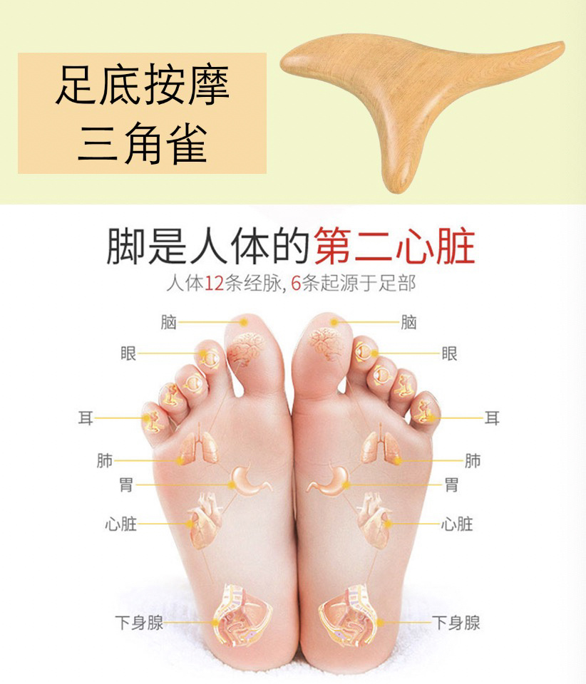 三角雀足底按摩器,脚底穴位收藏 06脚底有很多对身体很重要的穴位