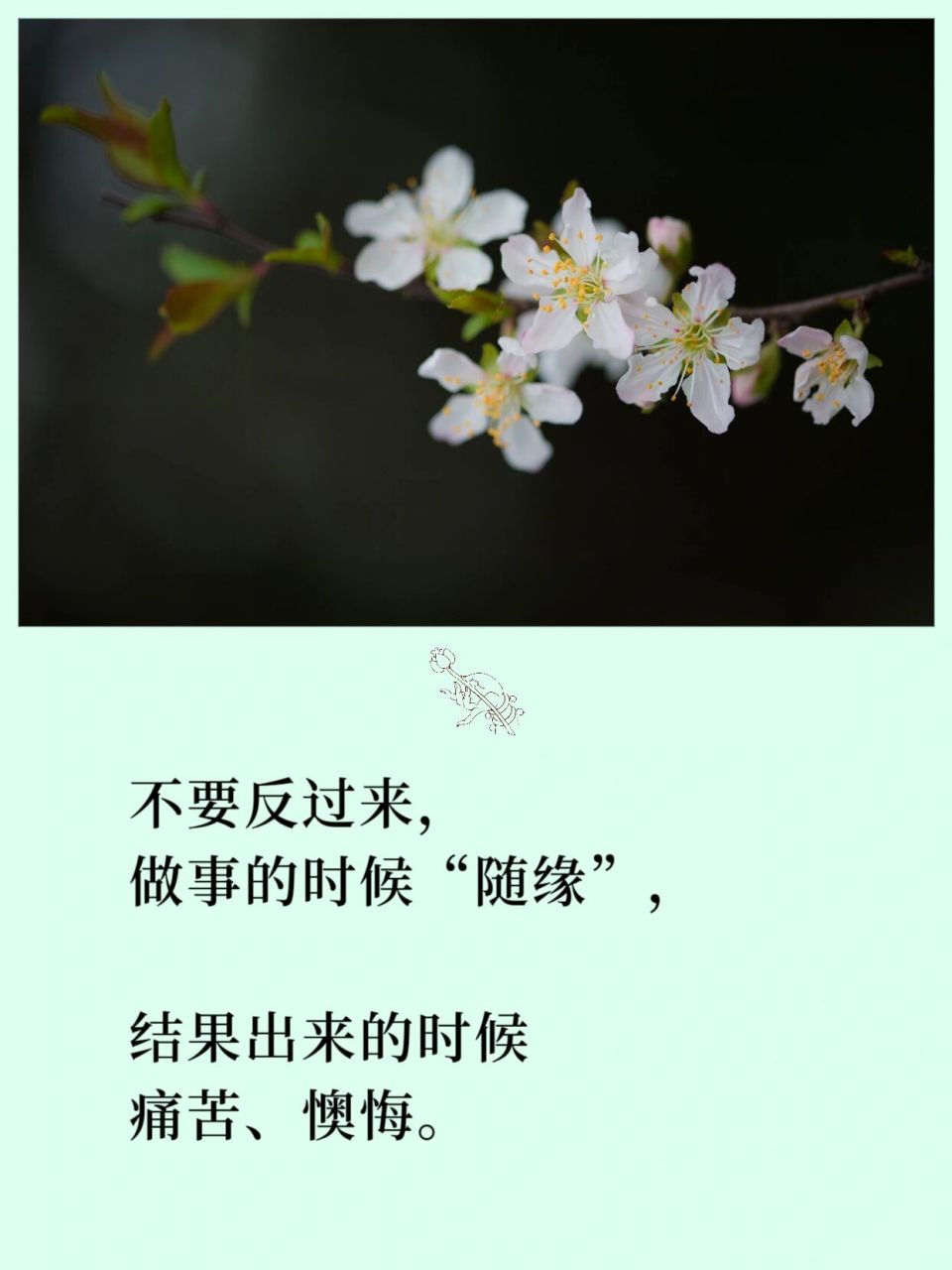 因上努力,果上随缘 #禅悟人生