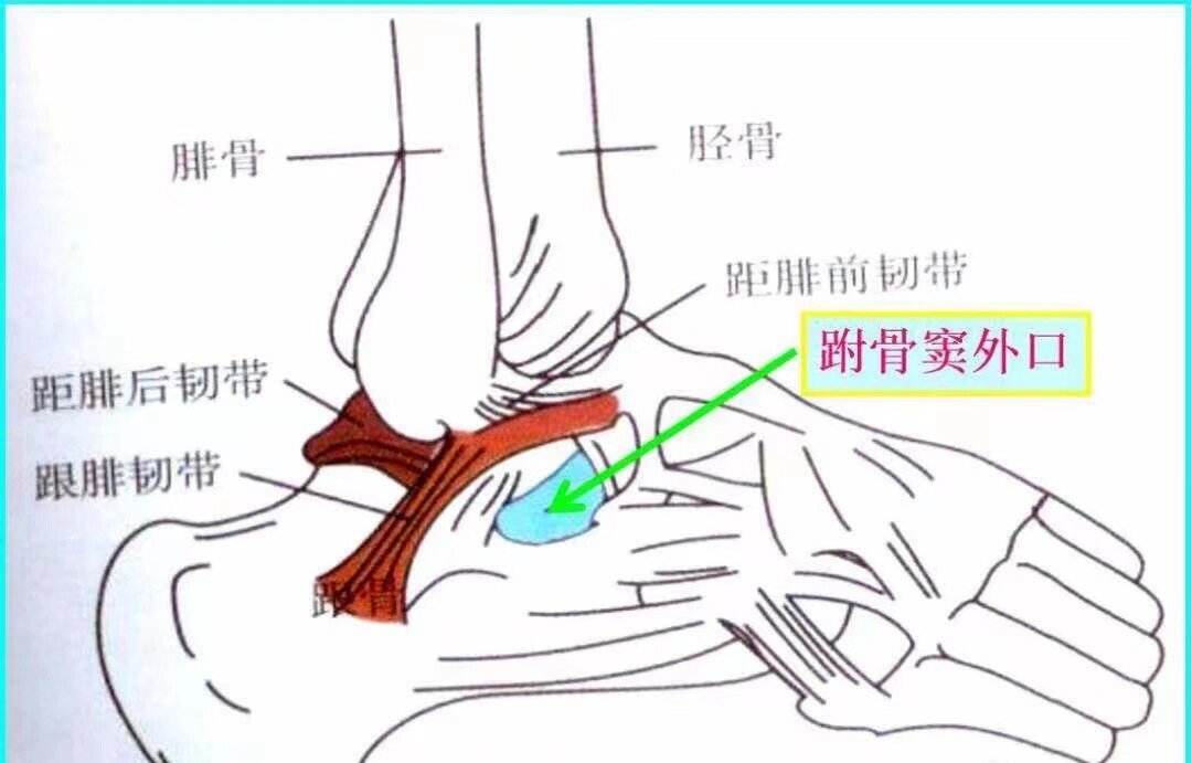 略呈锥形的骨间空隙