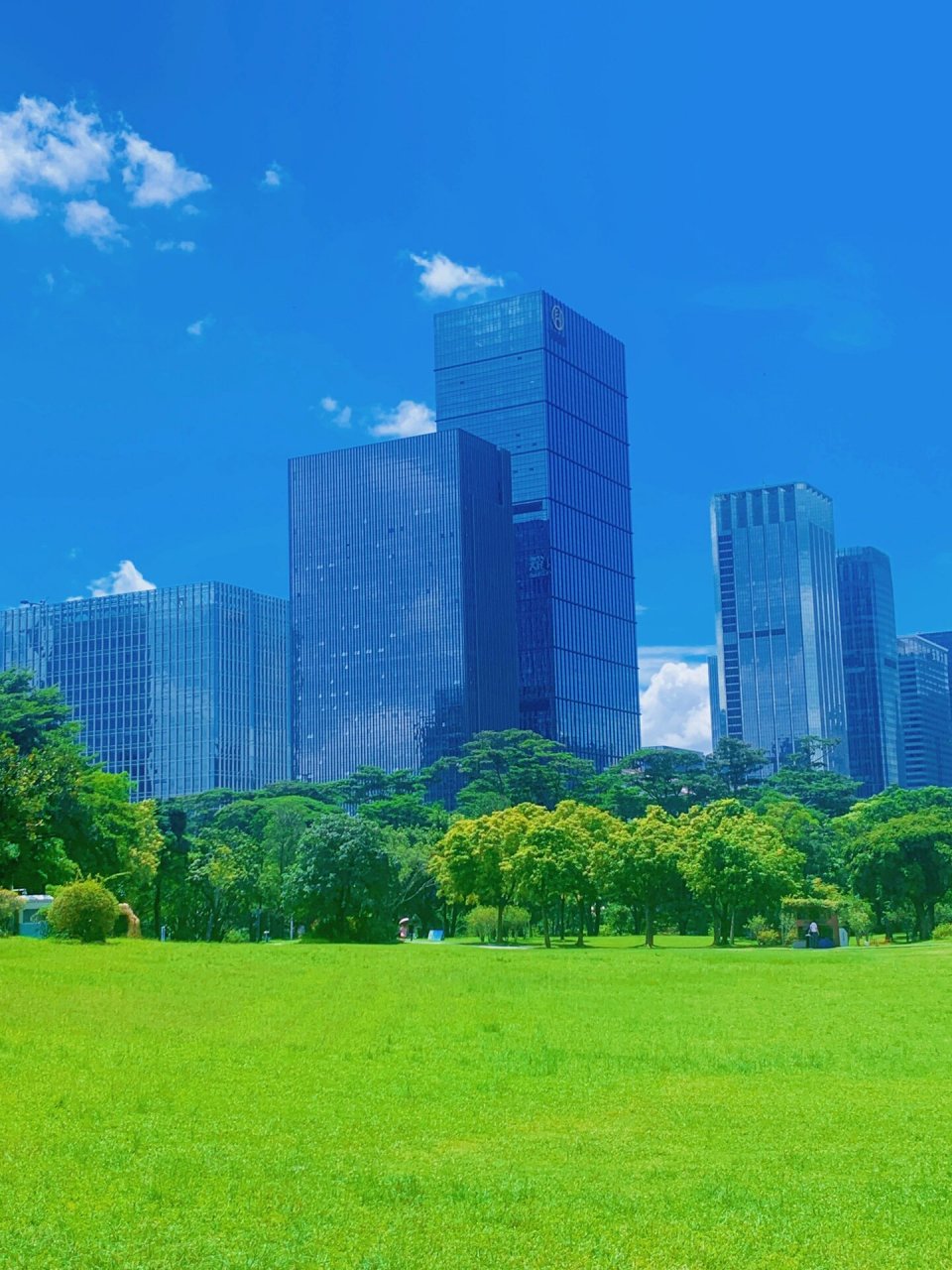 深圳网红公园必打卡景点73   莲花山公园位于福田区,是深圳十峰里最