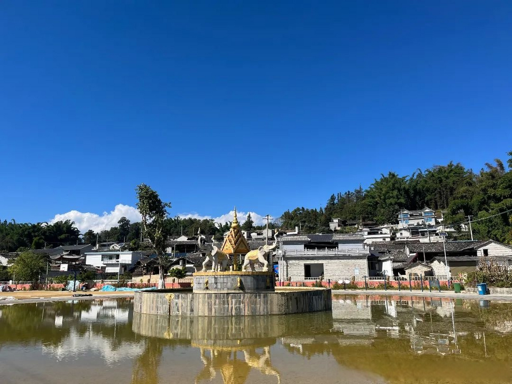 【腾冲蒲川:鱼虾欢腾景致美,传统村落稻米香】近年来,蒲川乡曼朵社区