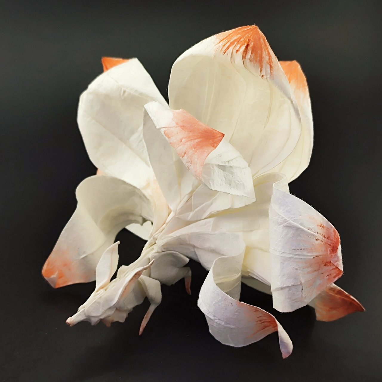 折纸一只九尾狐 《山海经·南山经》记载:又东三百里,曰青丘之山,其阳