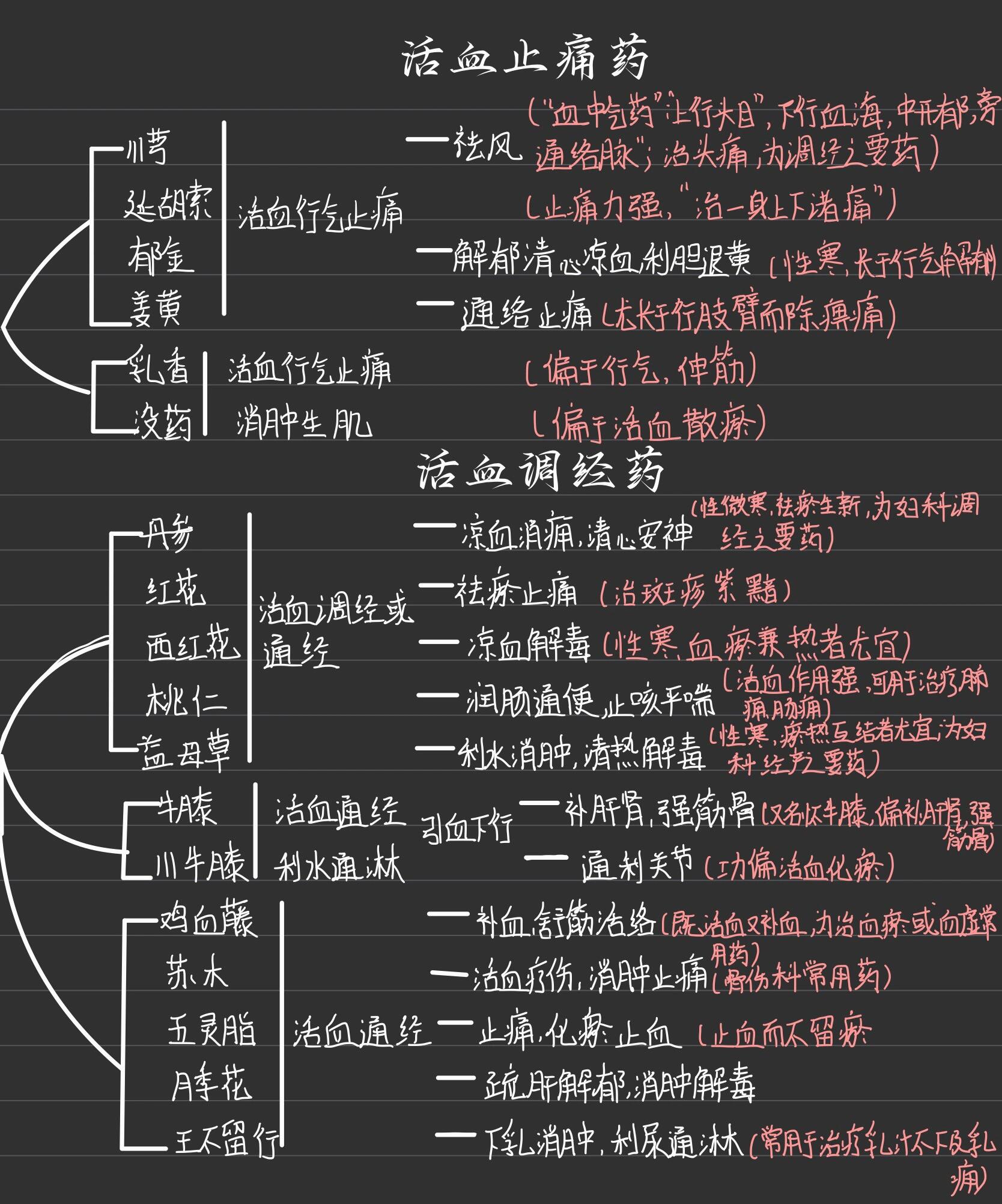 药理学思维导图手绘图片