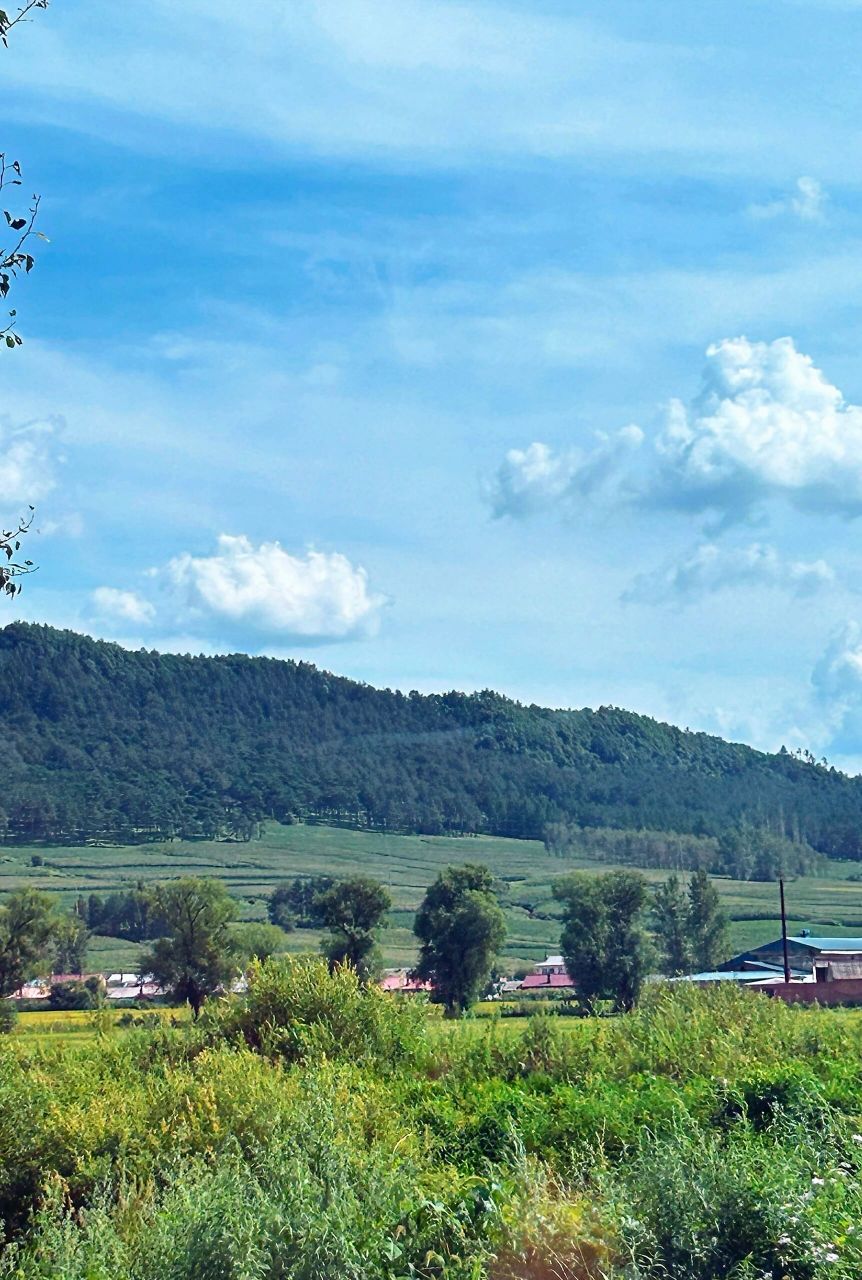 带娃也可以爬的山7215松峰山|哈尔滨周末爬山     周末和家人一起