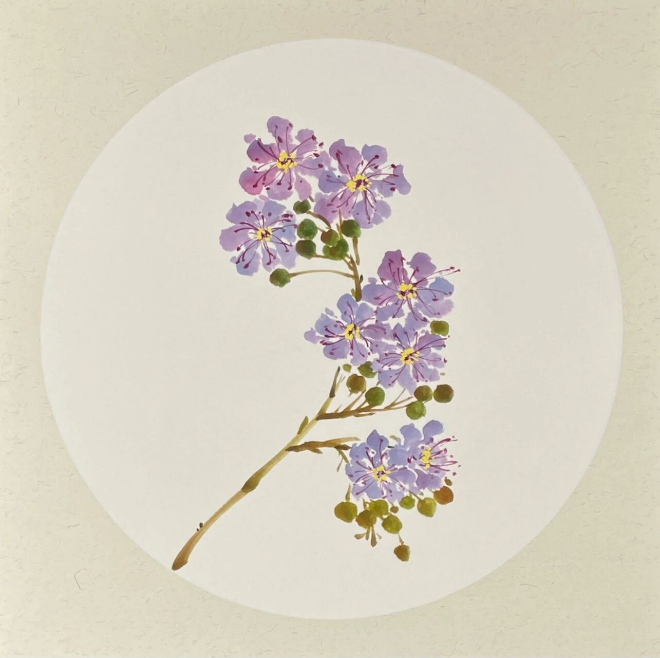 紫薇花的画法
