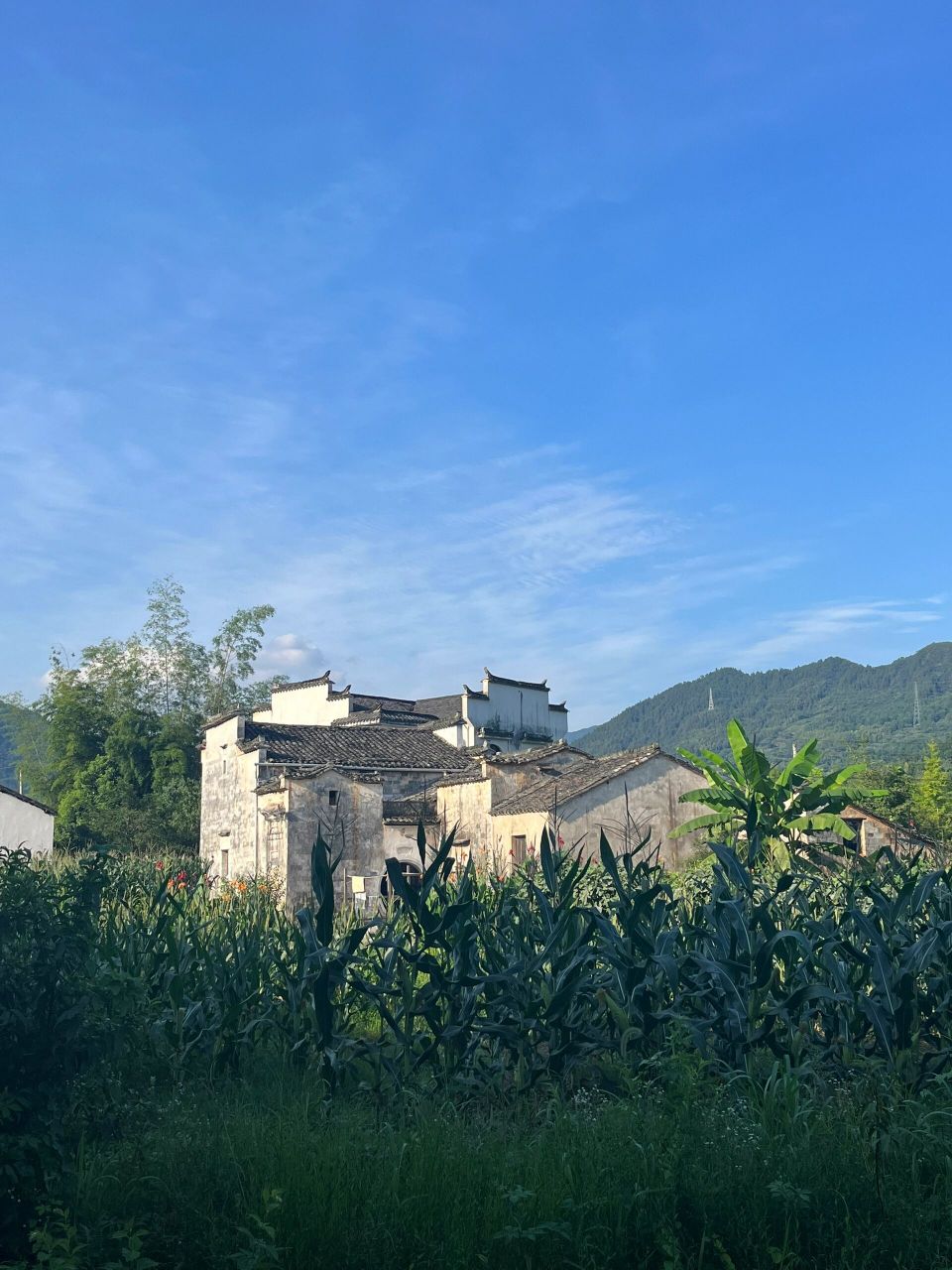 传统古村落 安徽黟县屏山村 一个很有生活气息的徽州古村落,安徽黟县