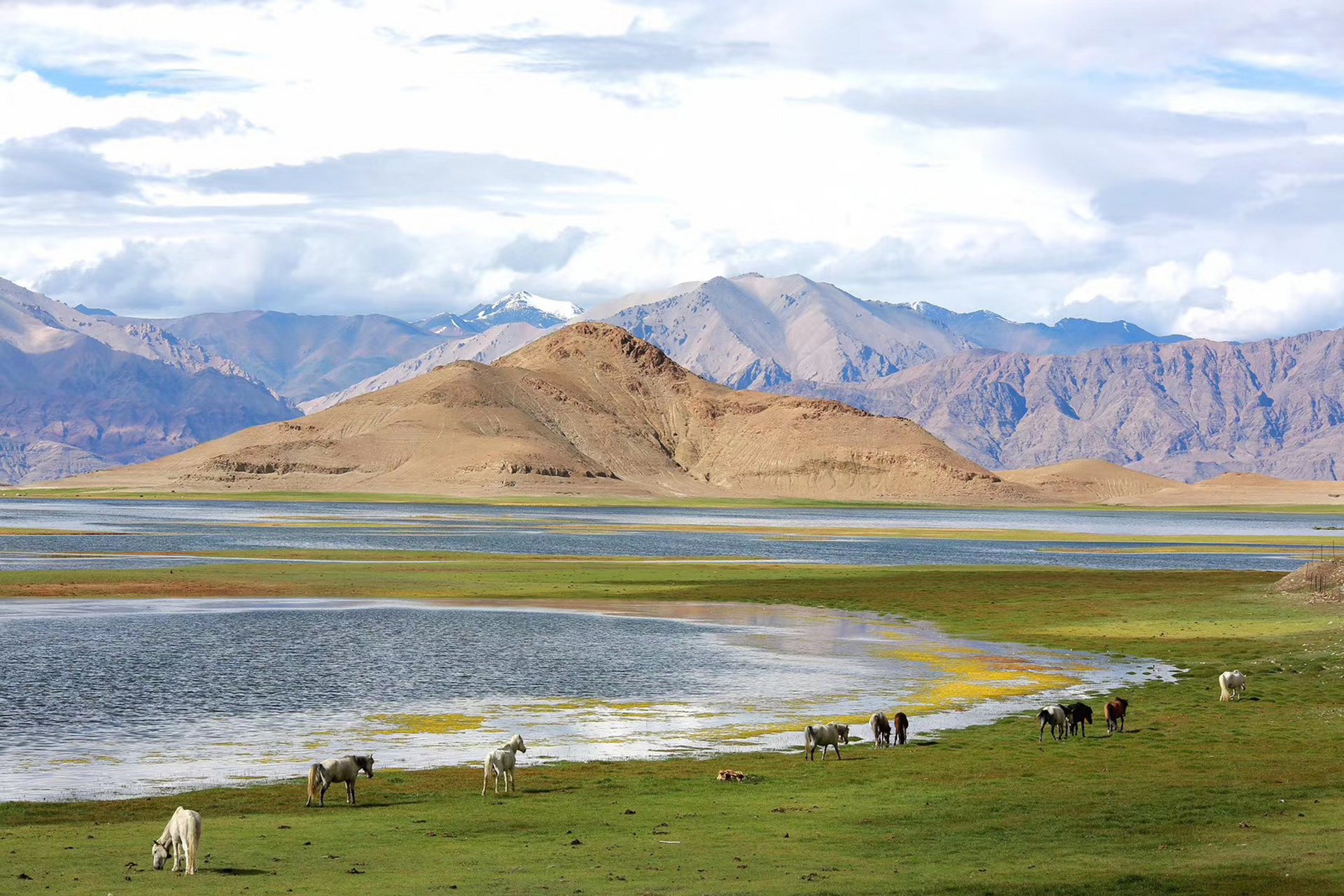西藏阿里最美线路,我把的灵魂留在了那 羌塘无人区30万平方公里的无人