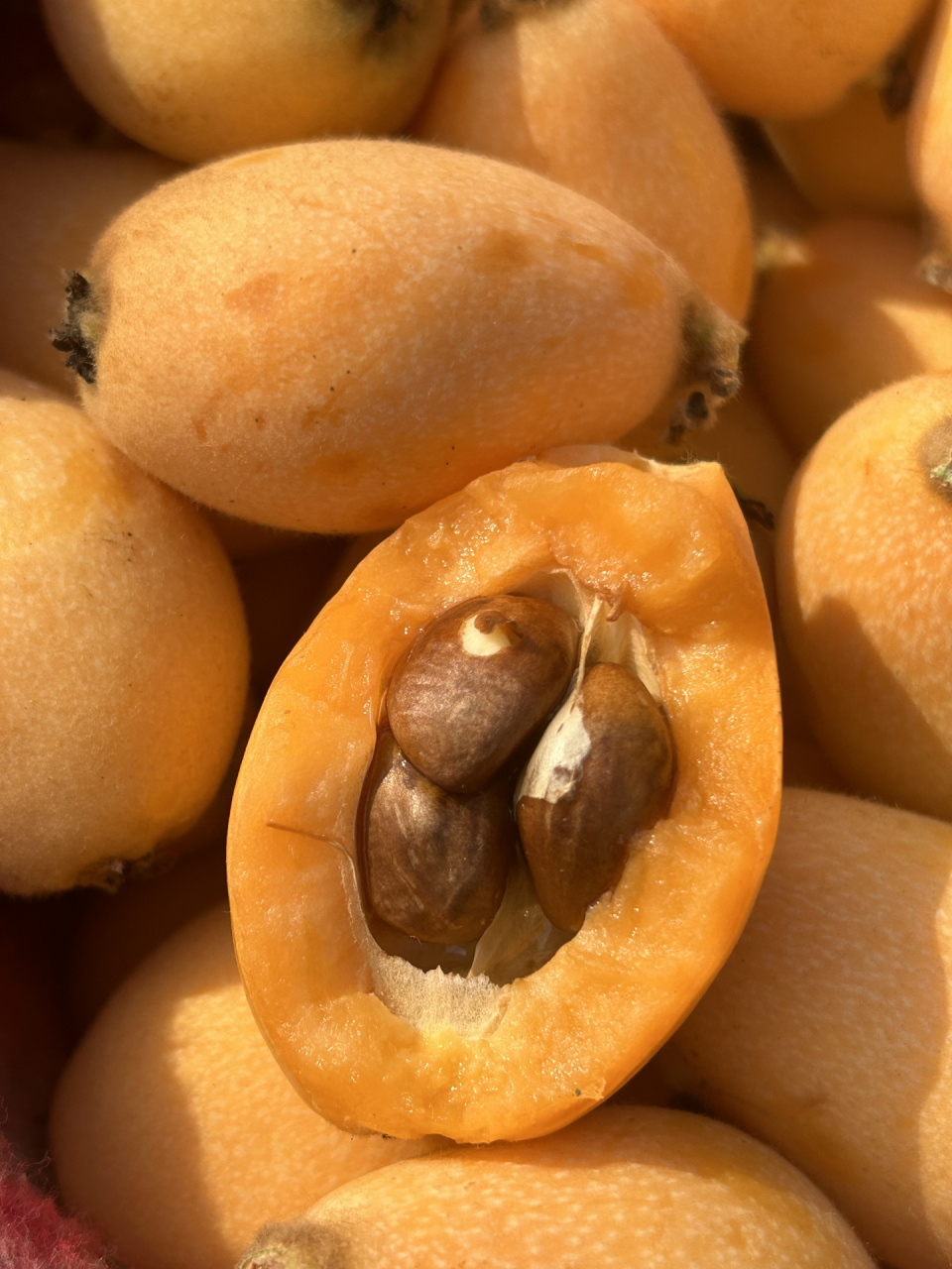 枇杷果功效与作用促进消化,润肺止咳,减肥 枇杷果是枇杷树结的果实