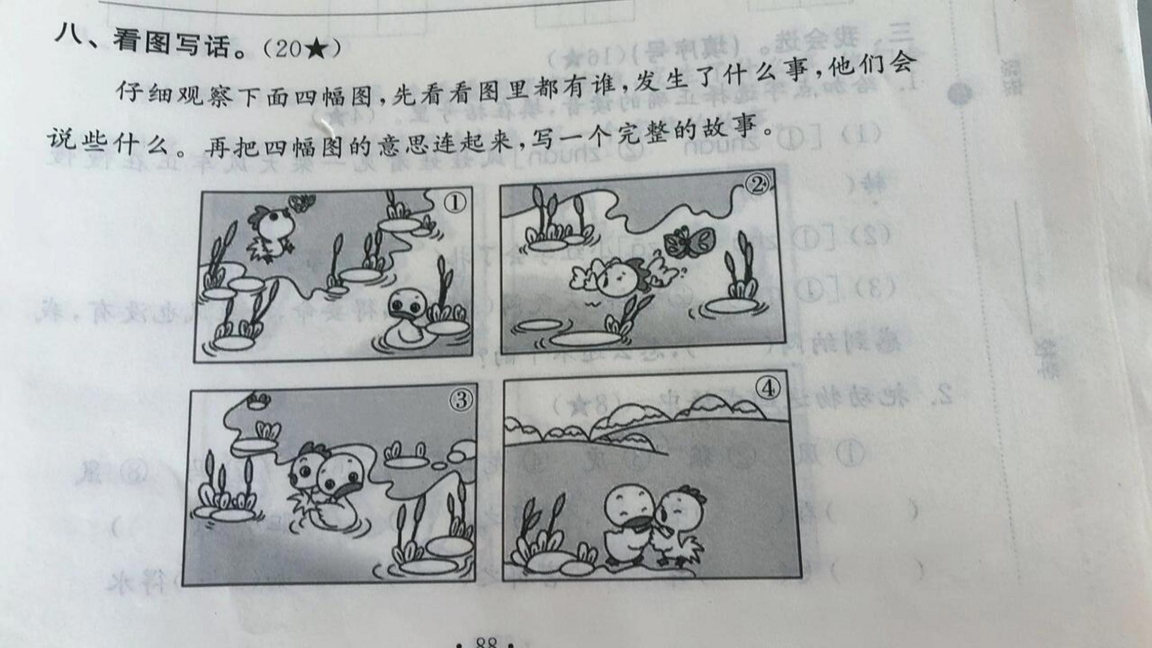 小公鸡和小鸭子