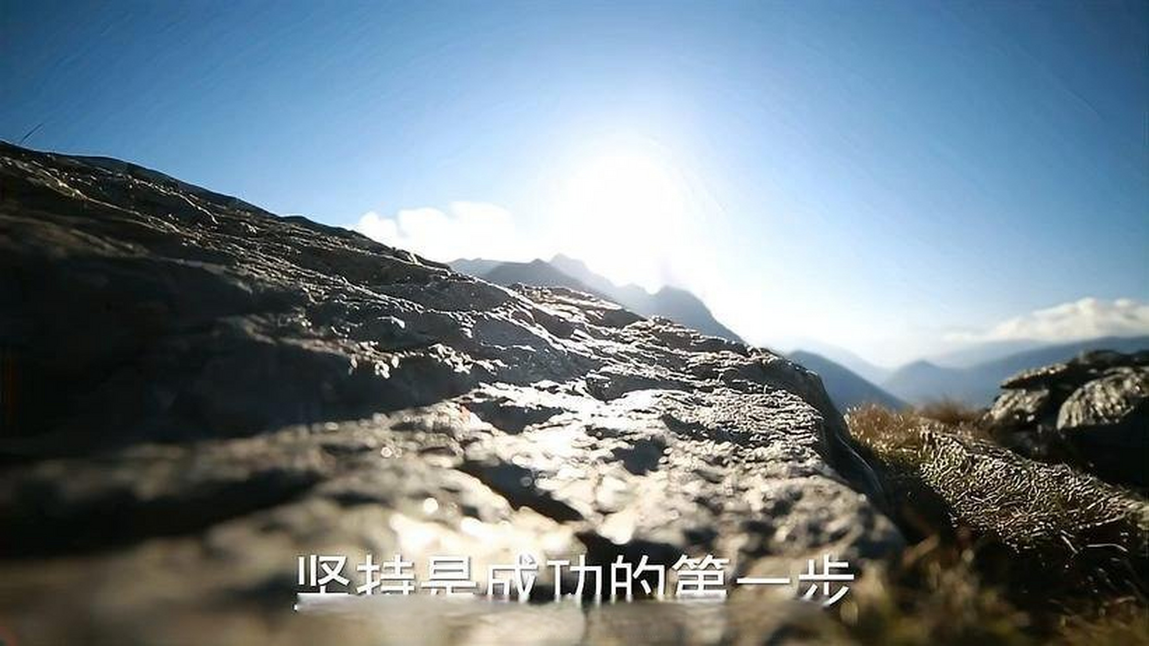 如若不坚强那就笑着认输[网页链接]
