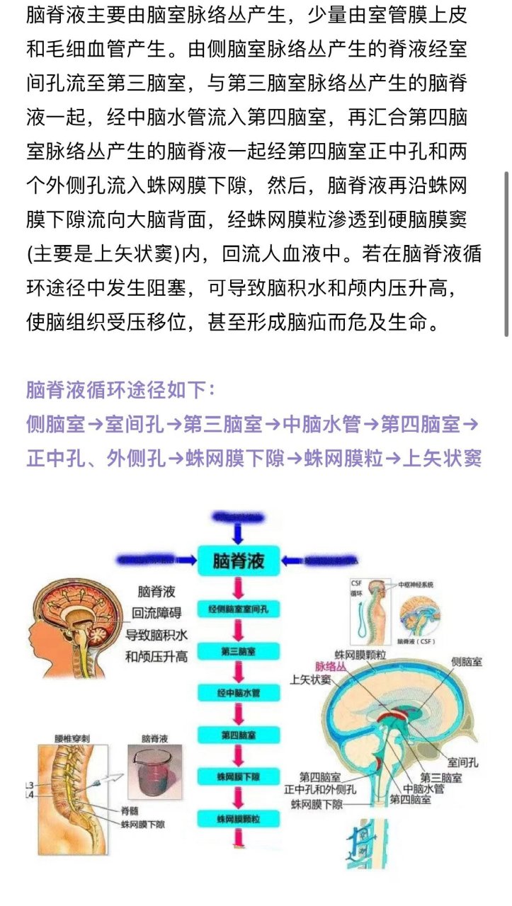 脑脊液循环 92脑脊液循环途径如下: 侧脑室→〖室间孔〗 →第三脑室