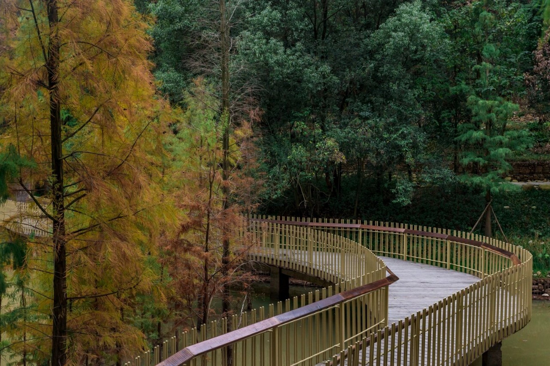 江西|磨盘山,全省最长的森林步道 96磨盘山森林公园位于南昌市湾里