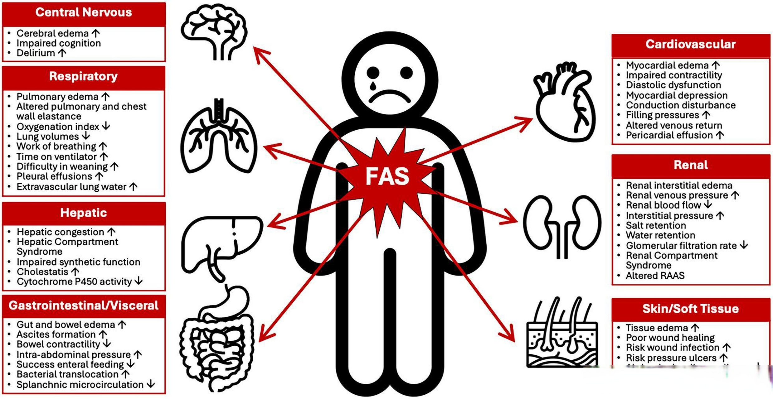 脓毒症和脓毒症休克中的液体积聚综合征:病理生理学,相关性和治疗