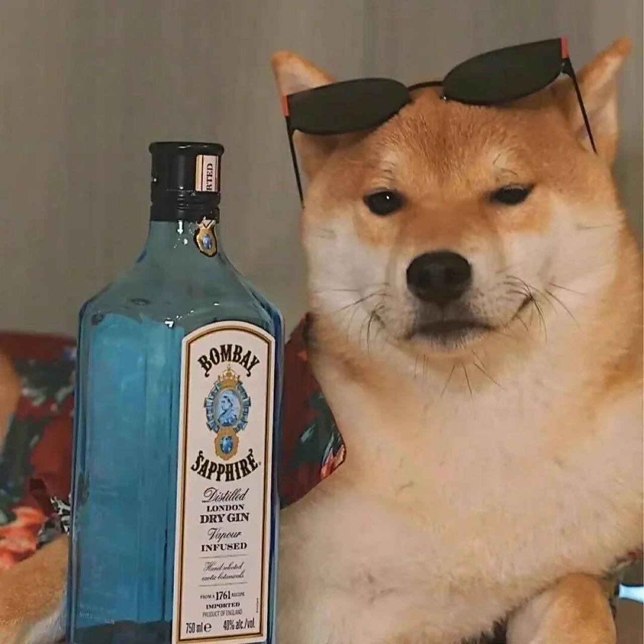 可爱小柴头像 快乐修勾小柴犬头像