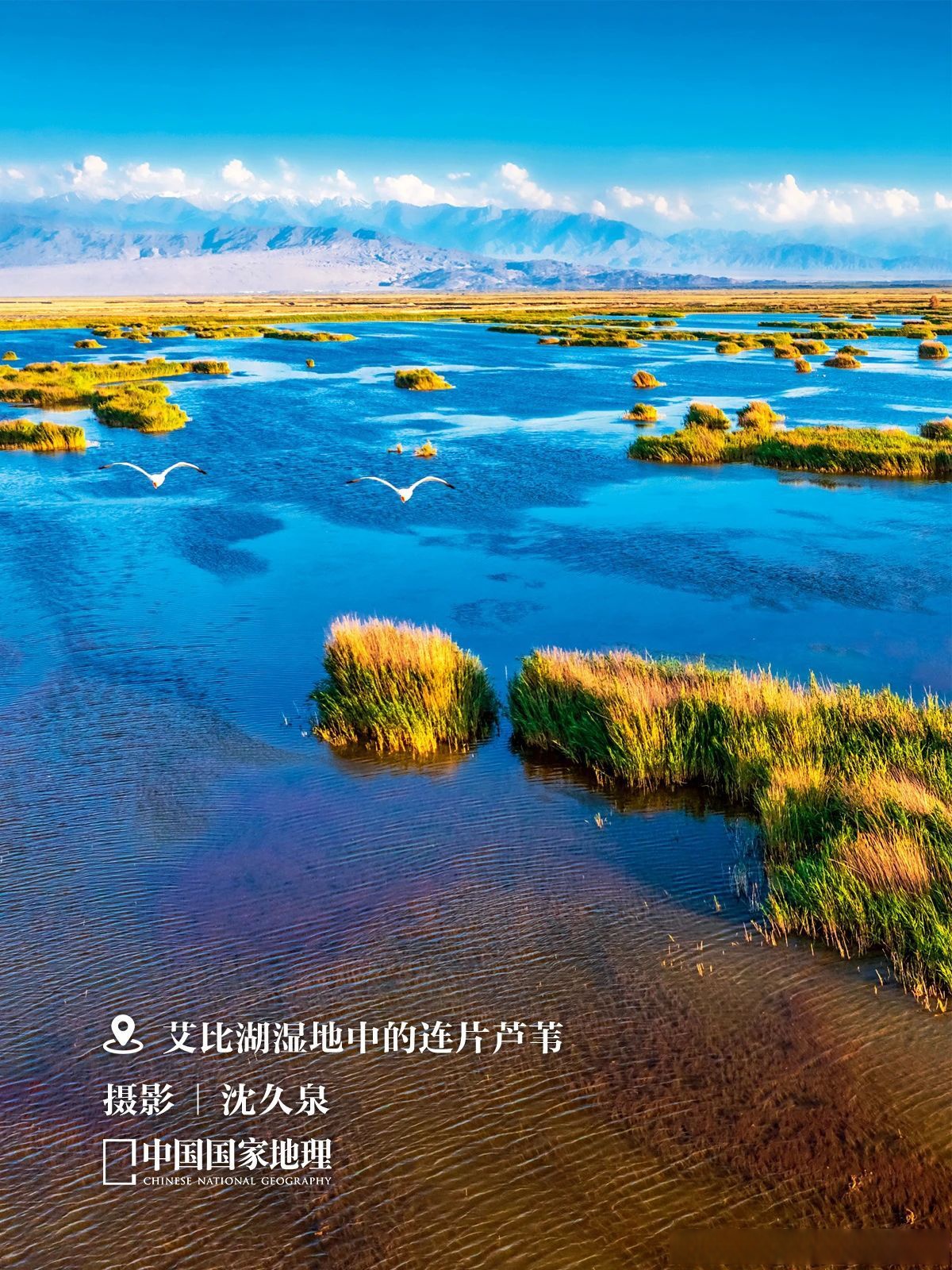 艾比湖是新疆第一大盐湖