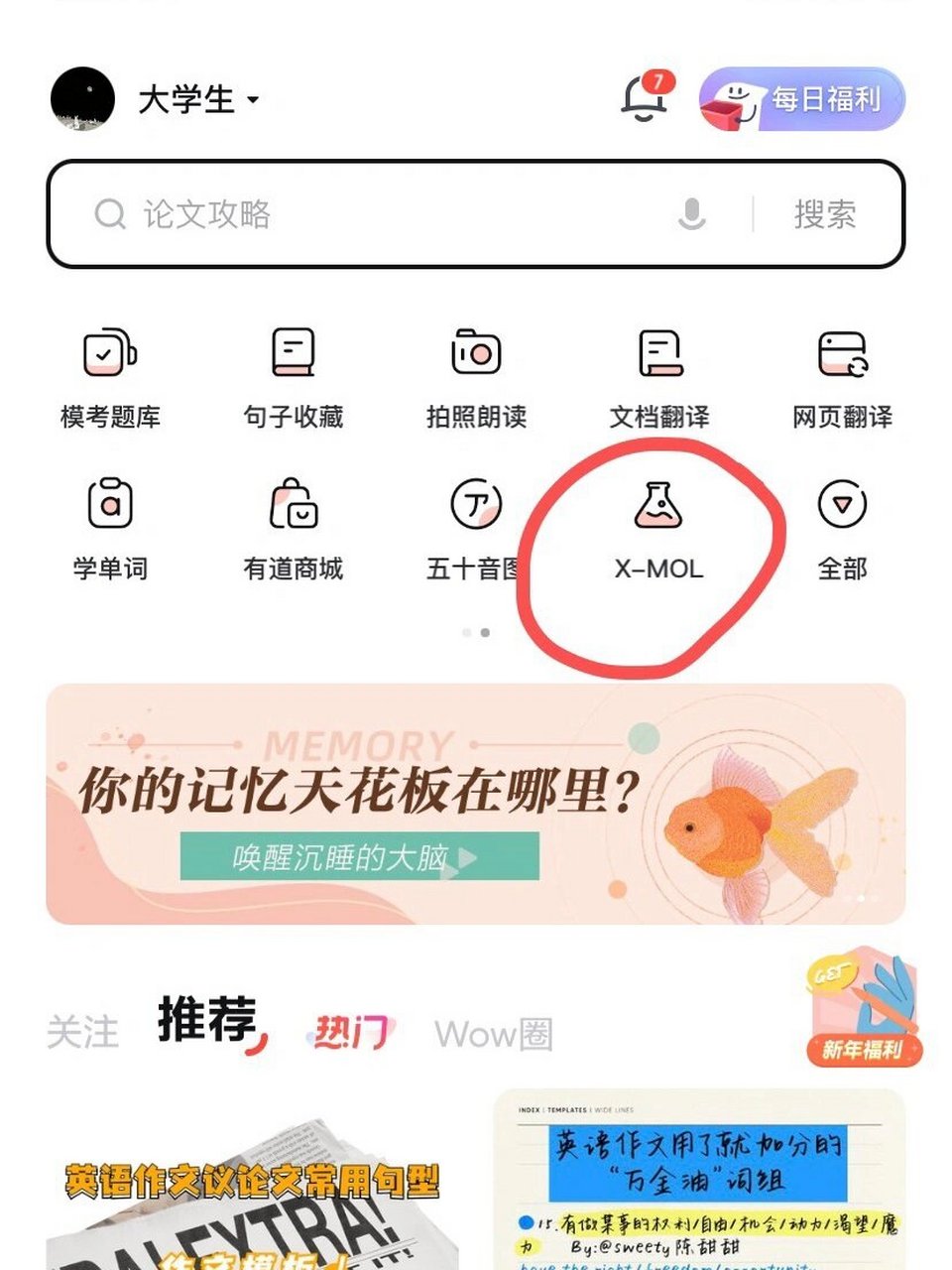 有道词典app_有道词典app官方正版下载