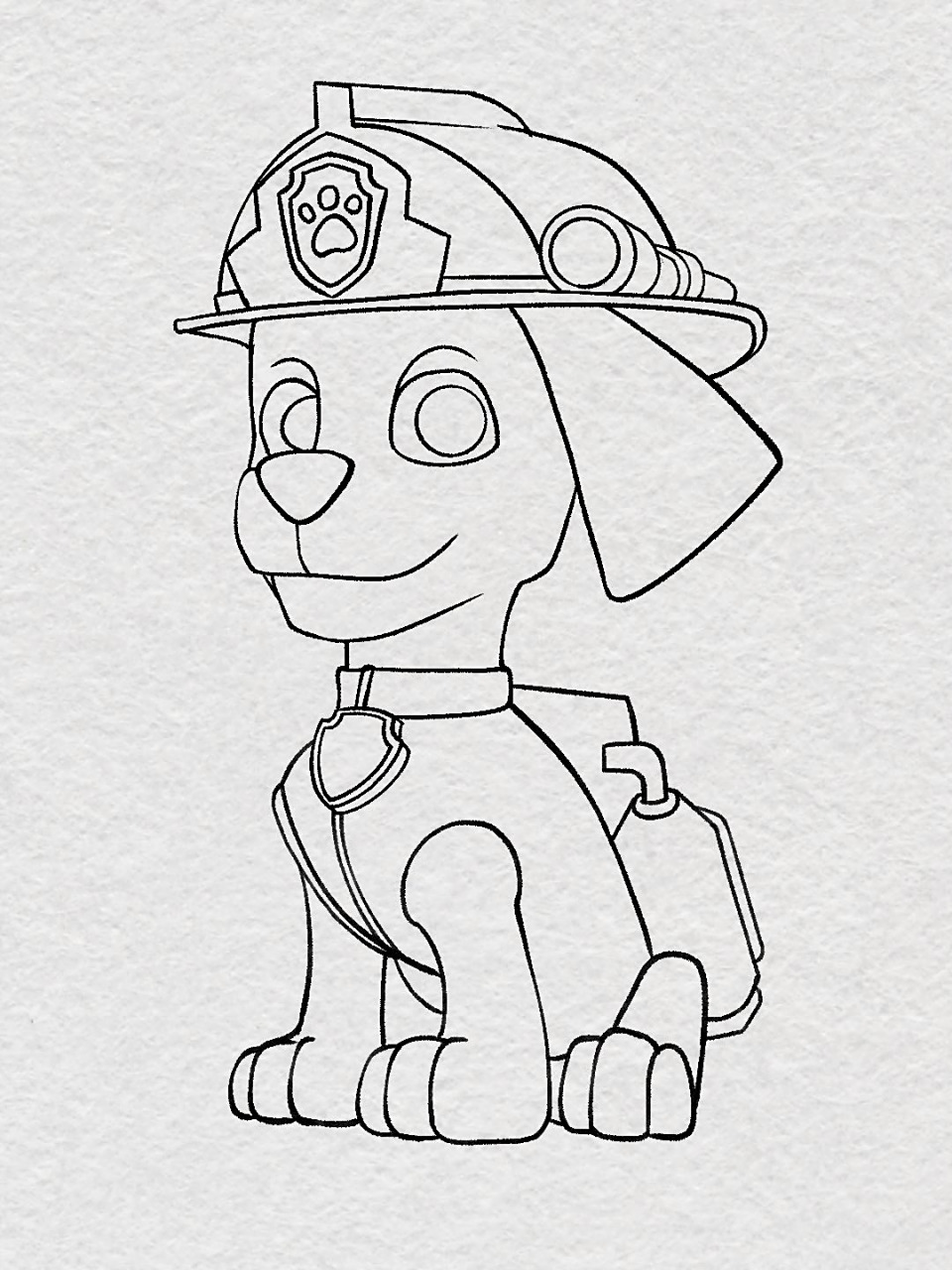 大家催更的汪汪队-毛毛来了