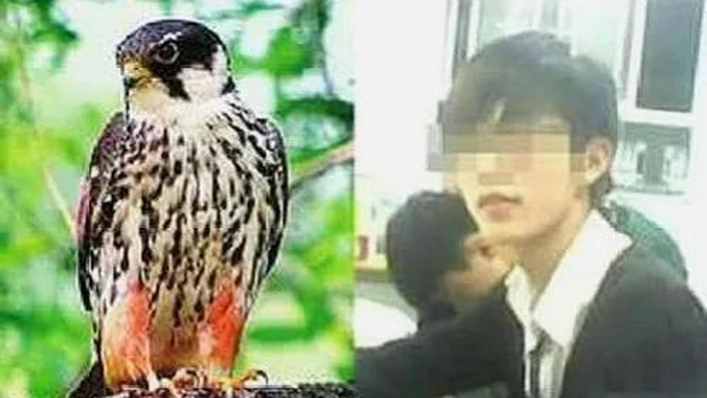 "大学生掏鸟案"当事人父亲发声  2014年7月,河南省郑州职业技术学院