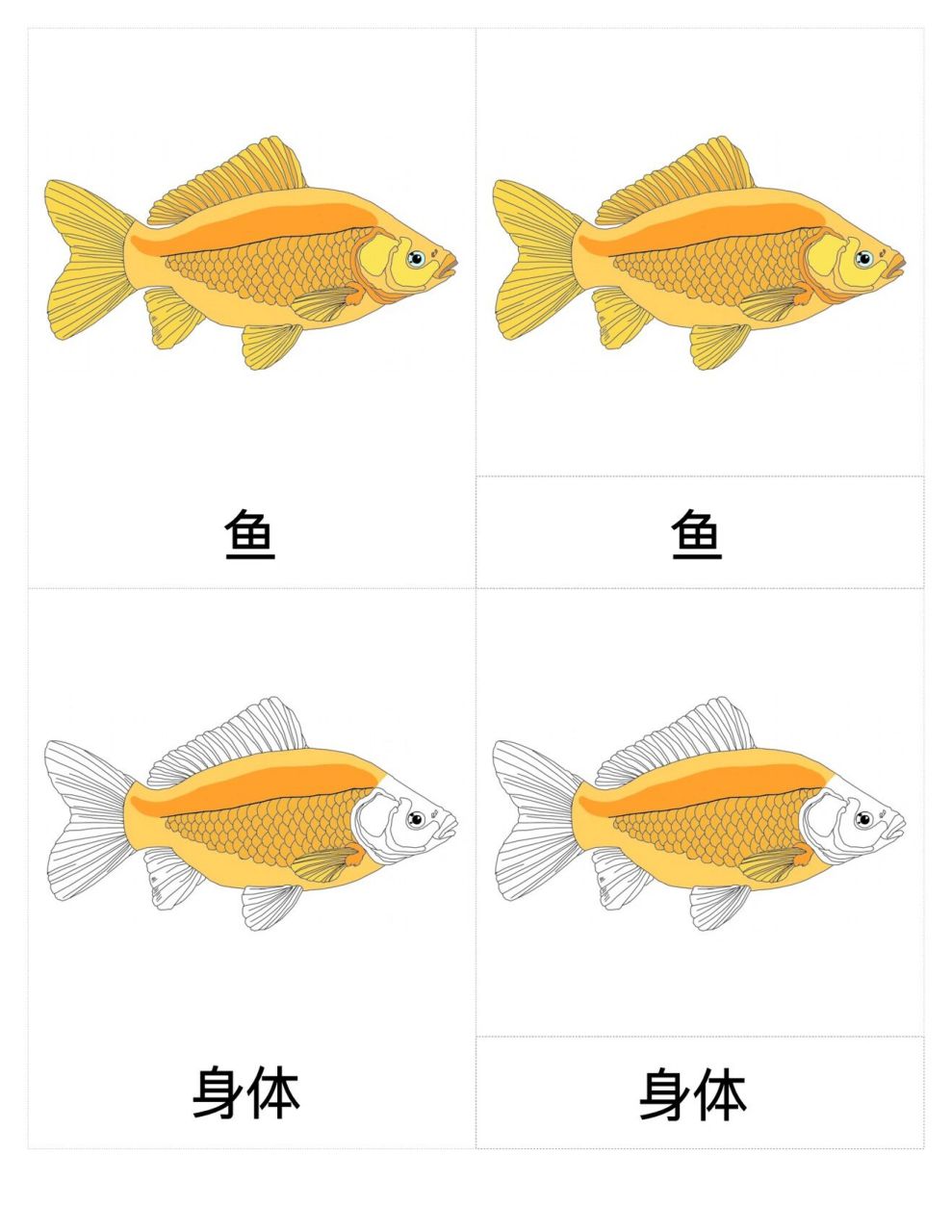 蒙氏"鱼的身体部位三段卡" 78完整版可直接打印使用