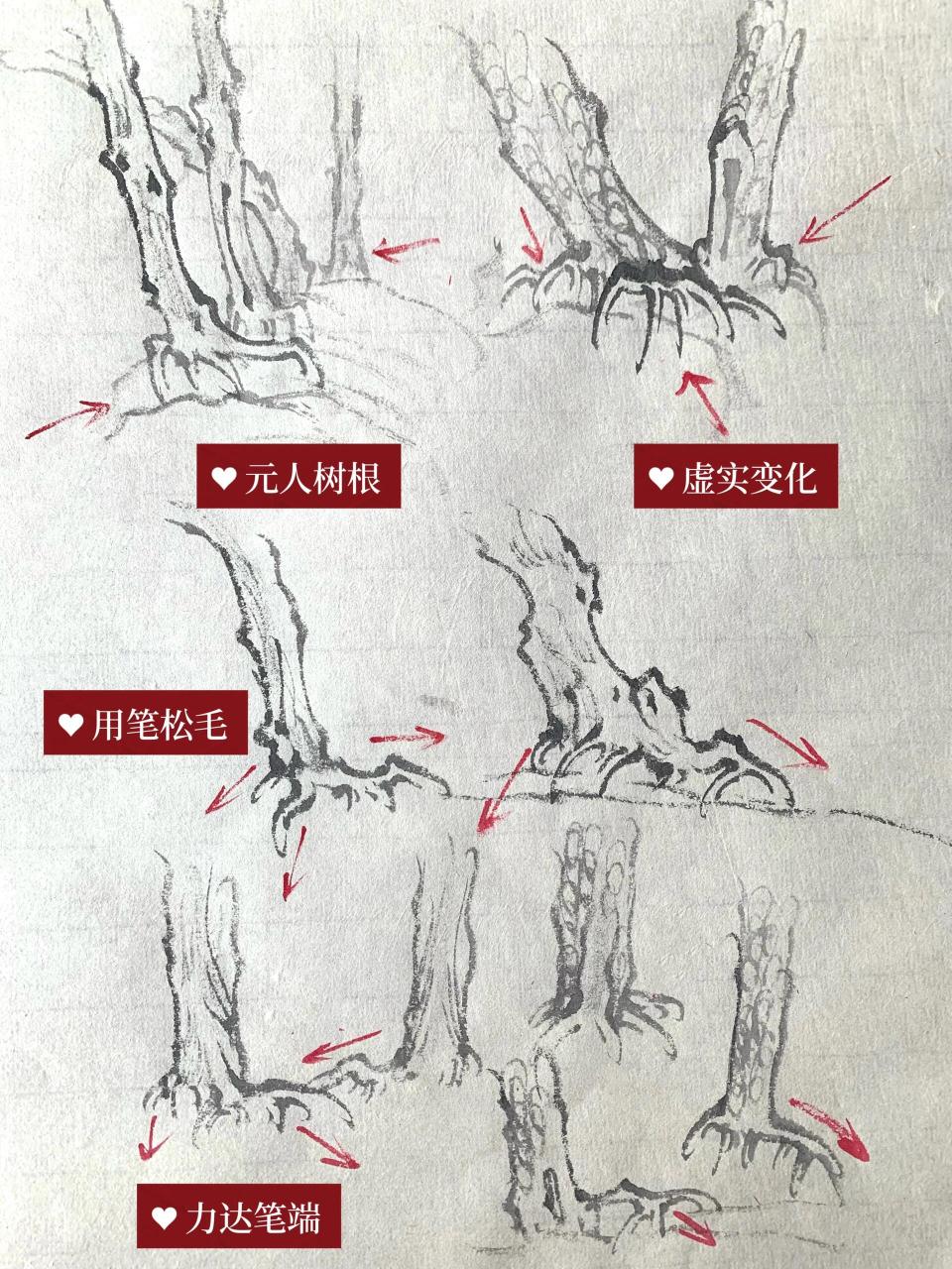 国画秘籍|30种树根画法 画树根笔力要苍劲,用意向下扎,用笔往回收,墨
