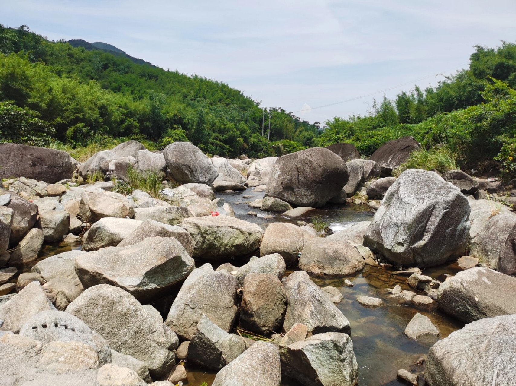 阳西县东水山森林公园