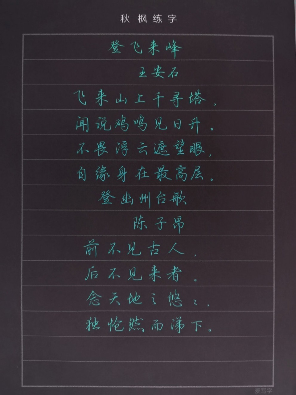 念天地之悠悠独怆然而涕下(念天地之悠悠独怆然而涕下用了什么手法)